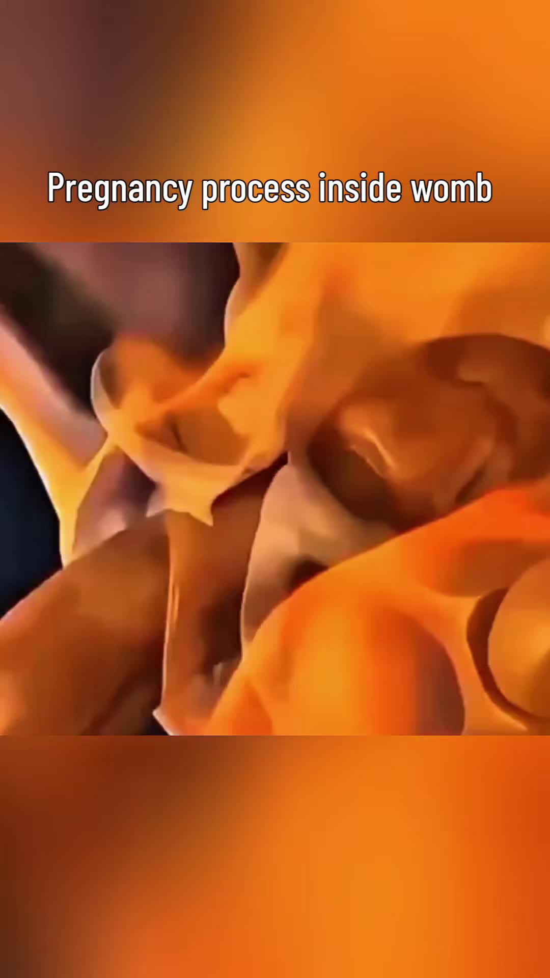 @femniverse 3