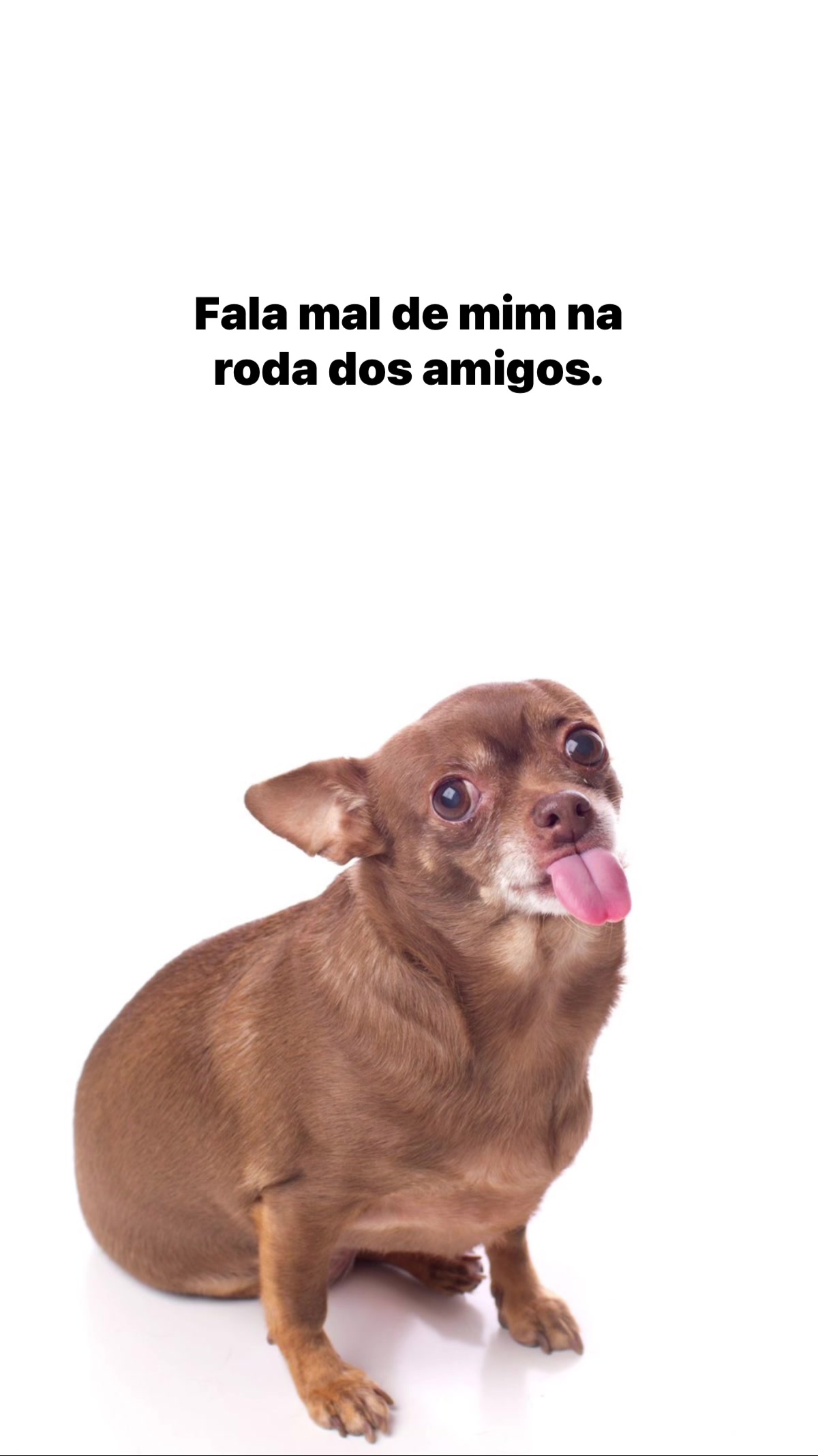 @user1606