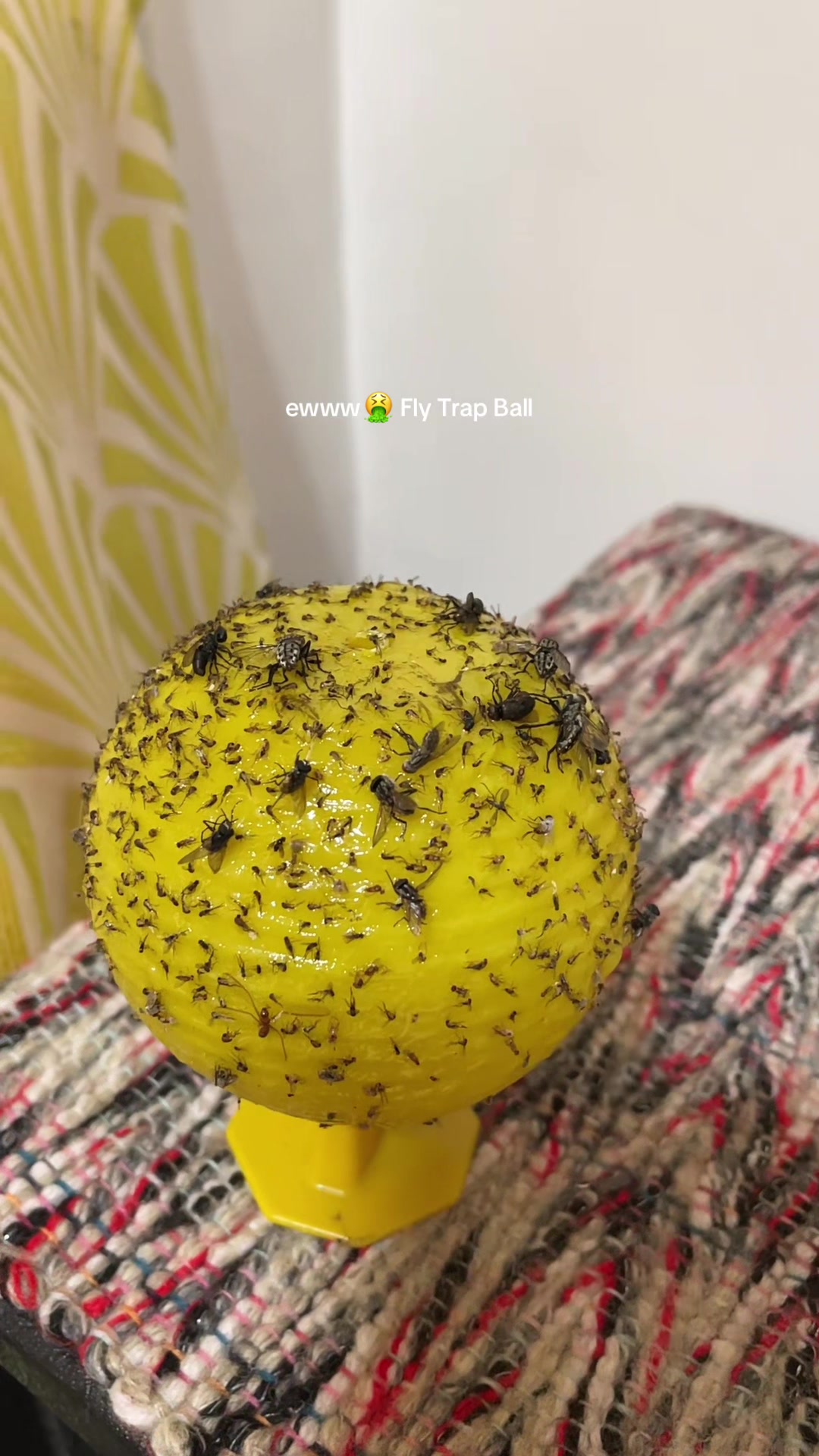 @Veronica Santiago