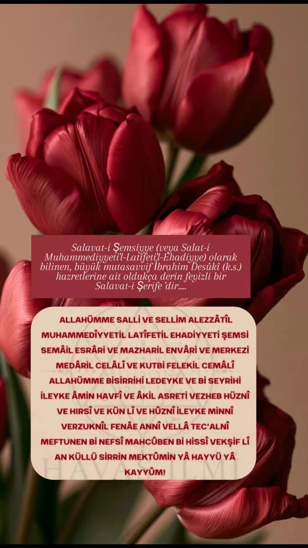 @hayat nereye gidiyor