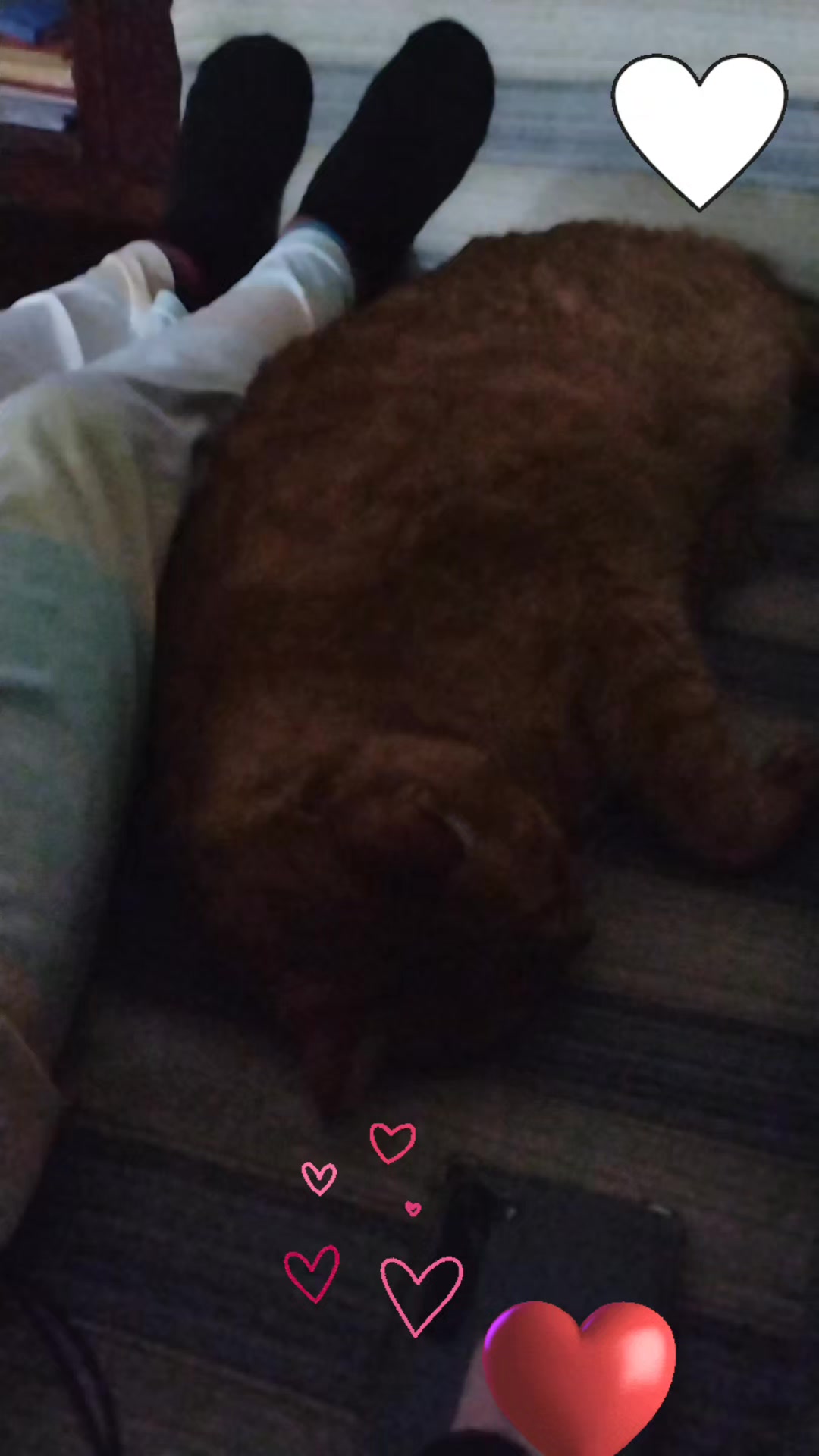 @😻 Estela 😻