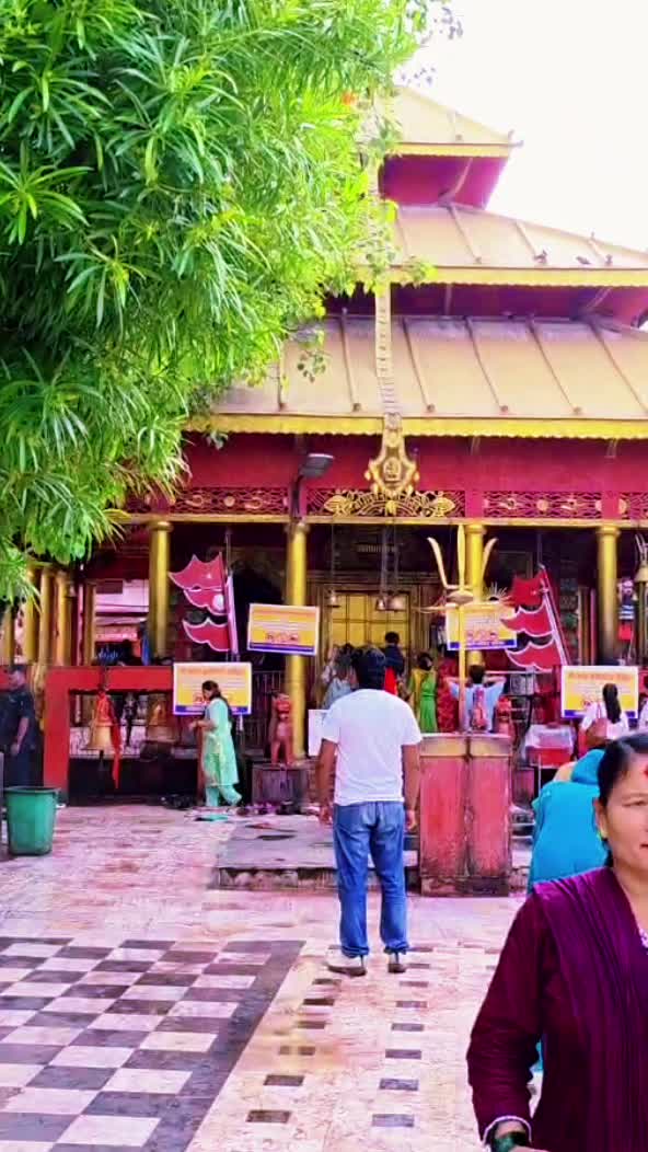 @LB Katuwal 🙏🥀