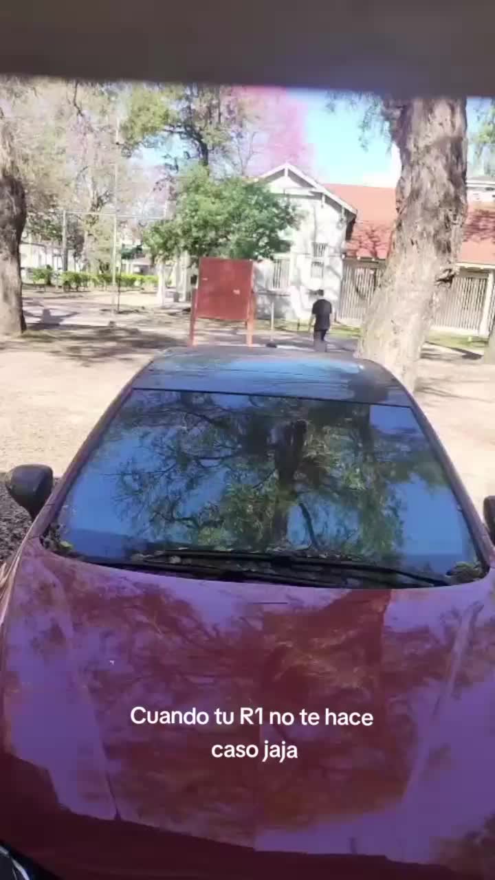@Fabiana Villalva