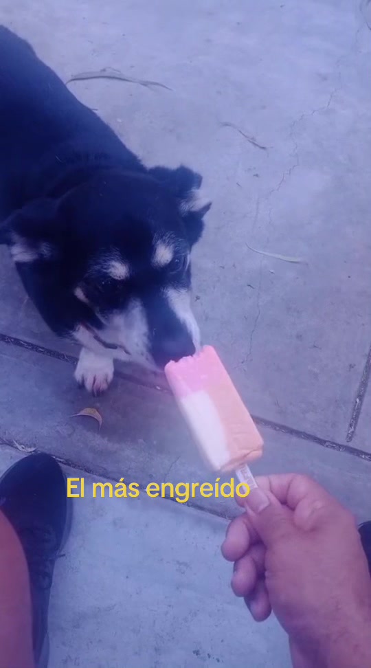 @Martin Ricardo