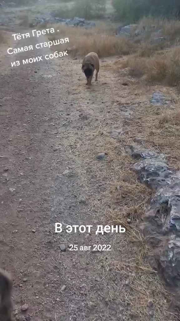 @Владимир