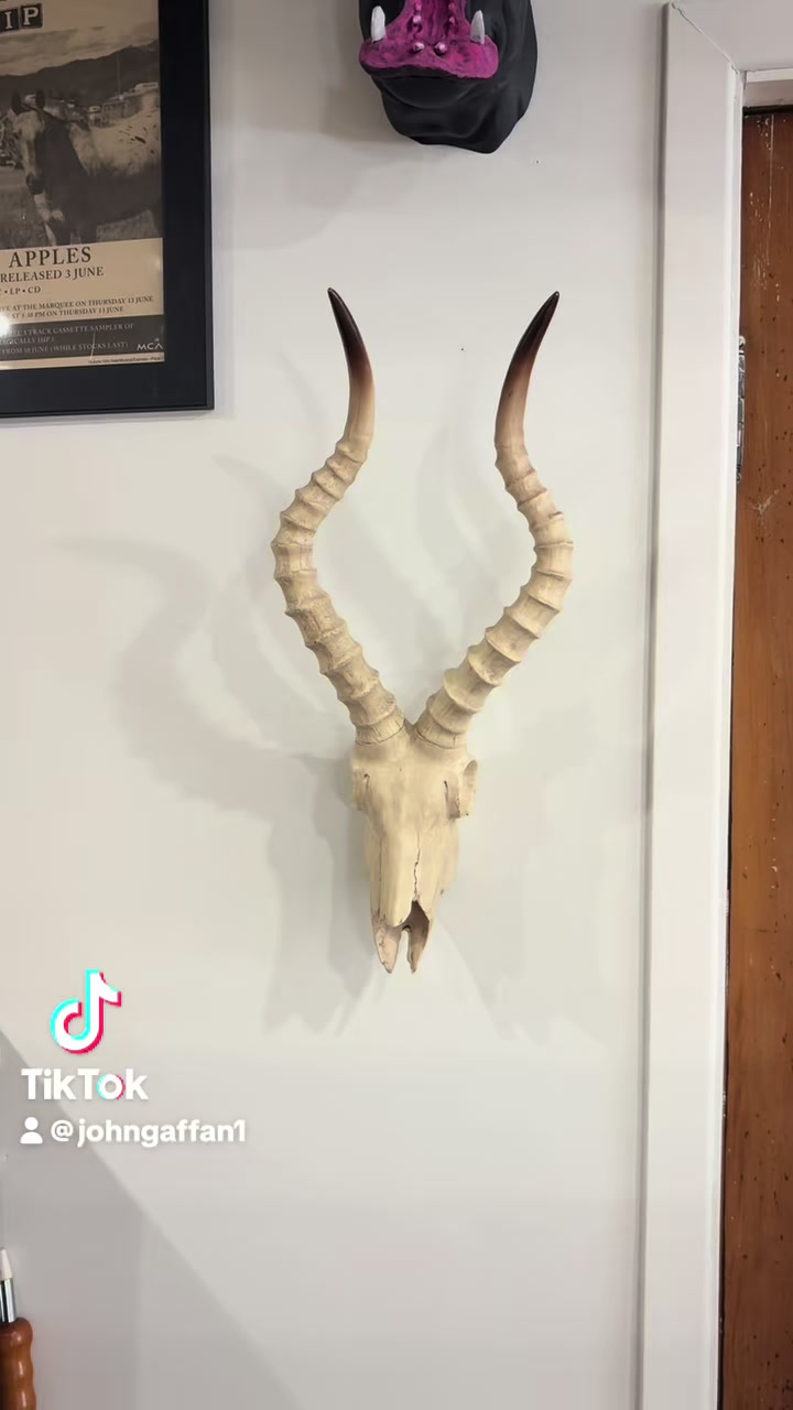 @Apex art & design