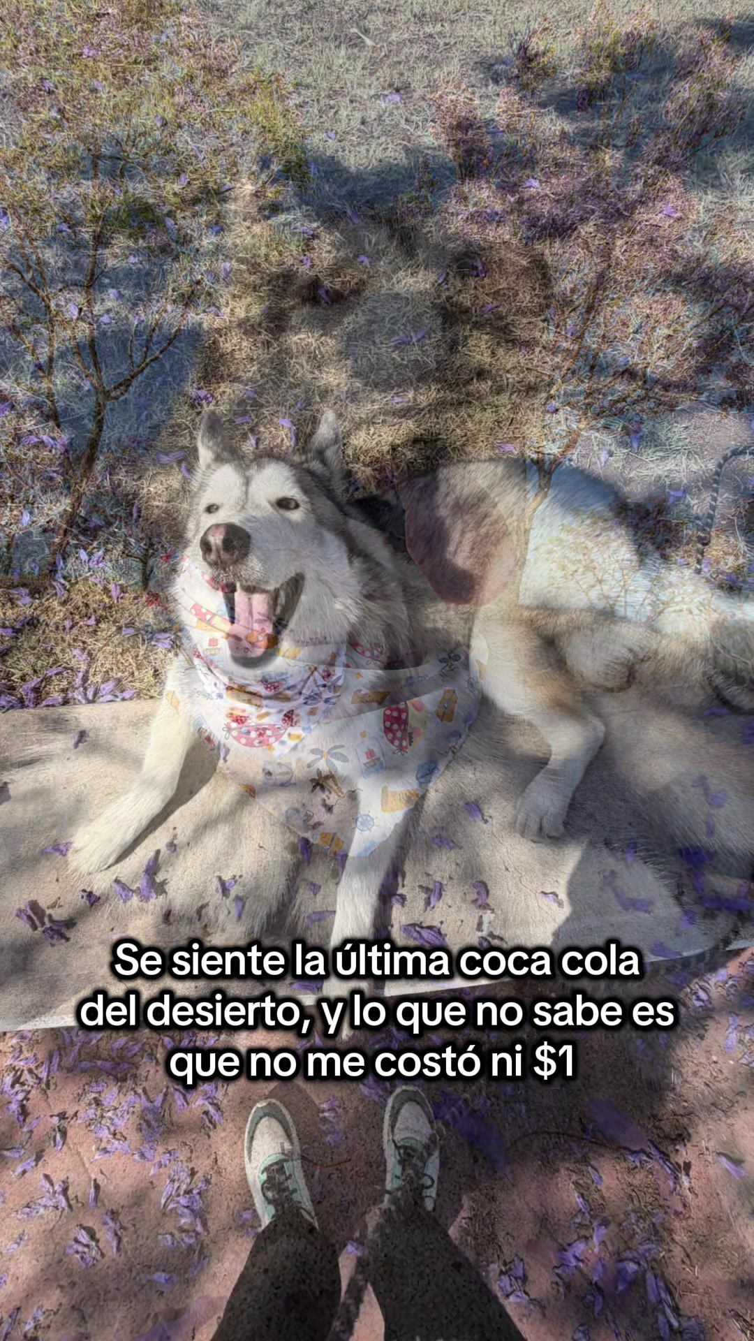 @KZ