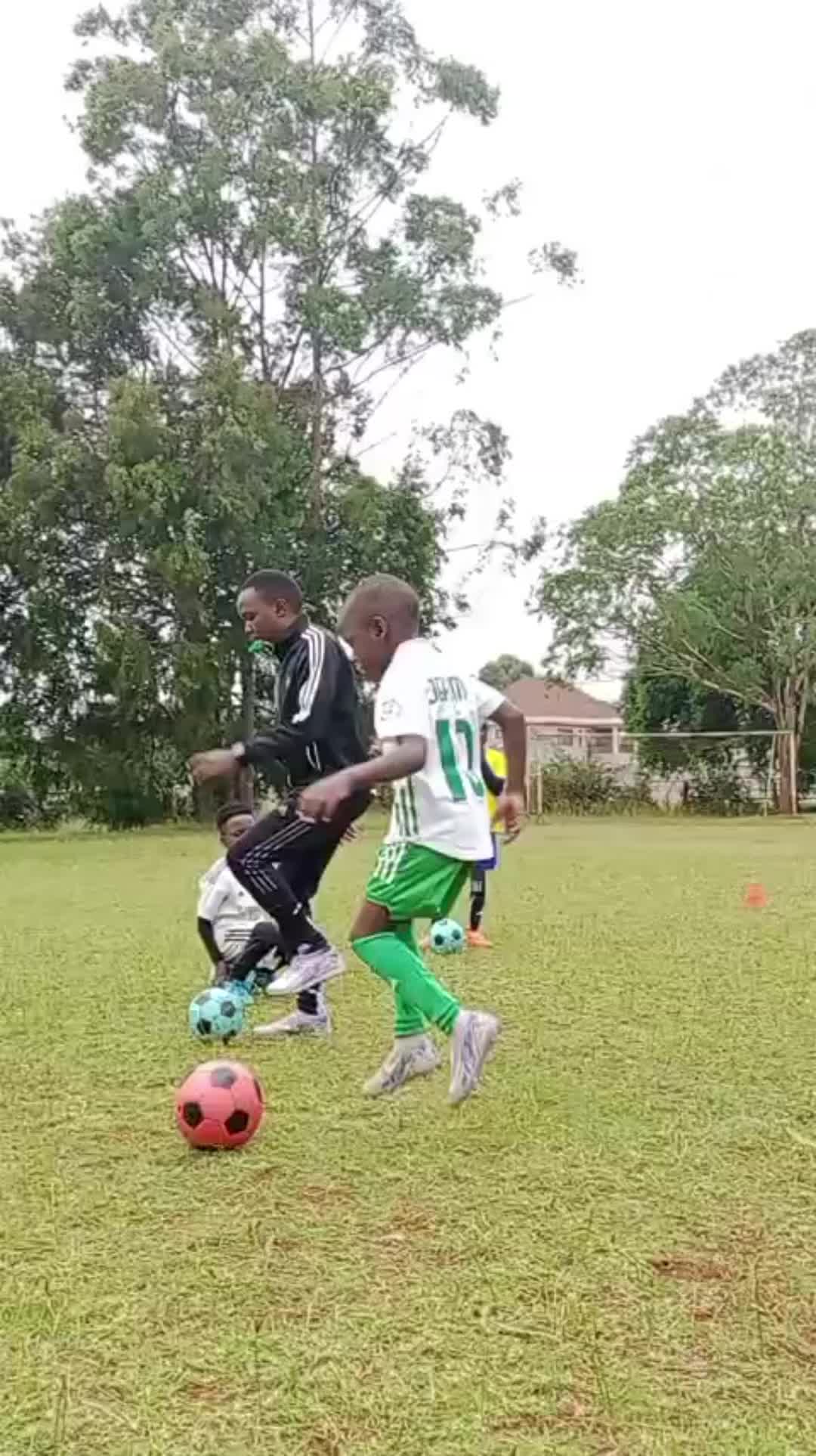 @greensportsaf
