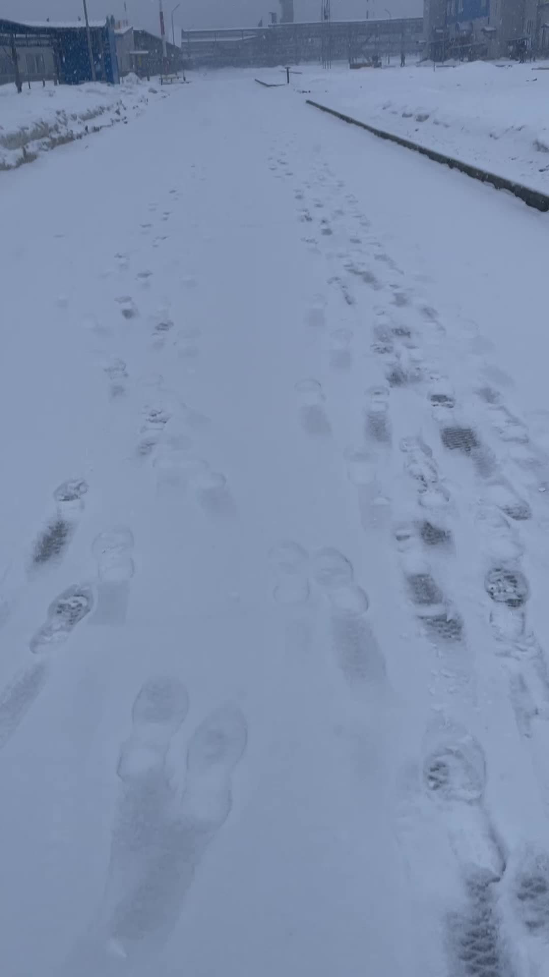 @Марина Быкова