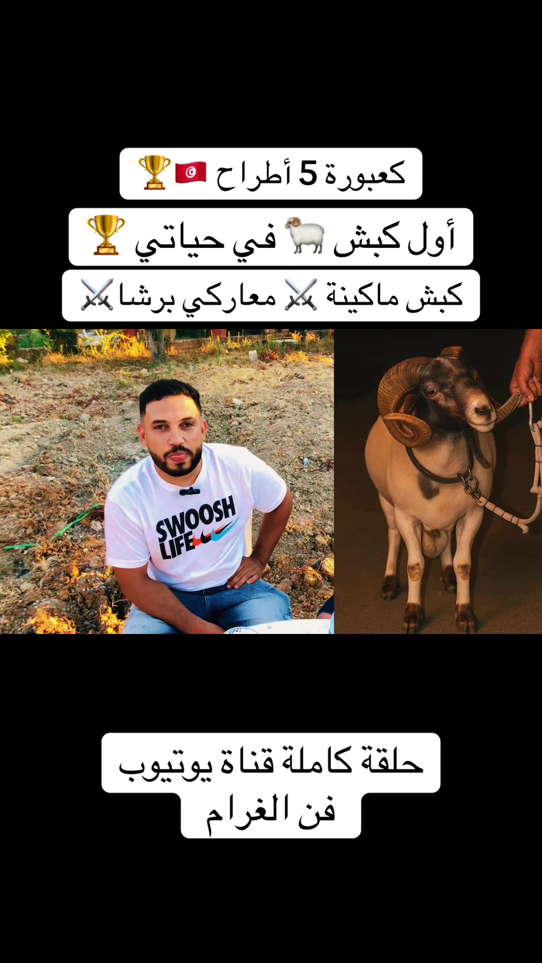 @سيف غرام زمان 🇹🇳