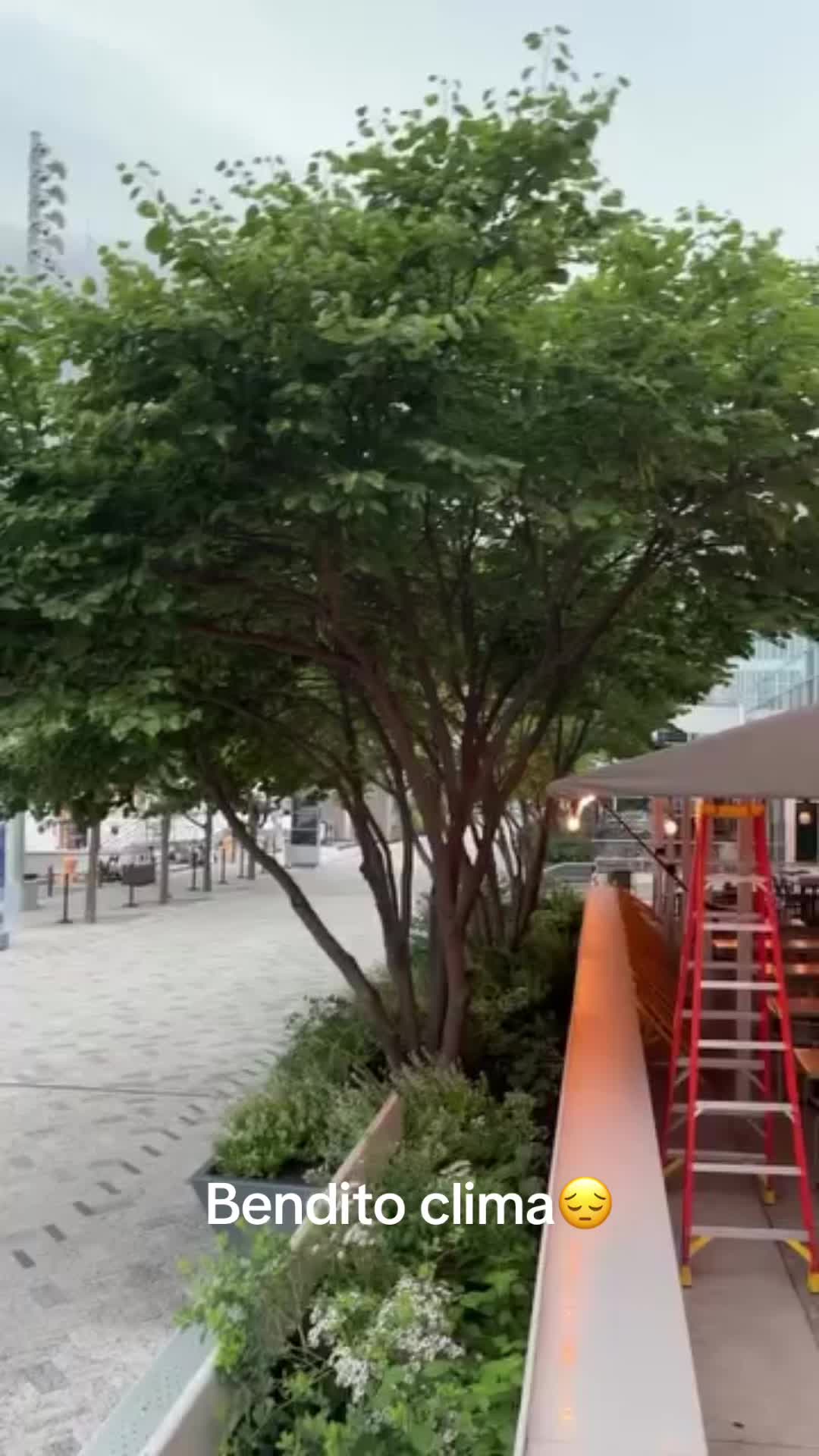 @“