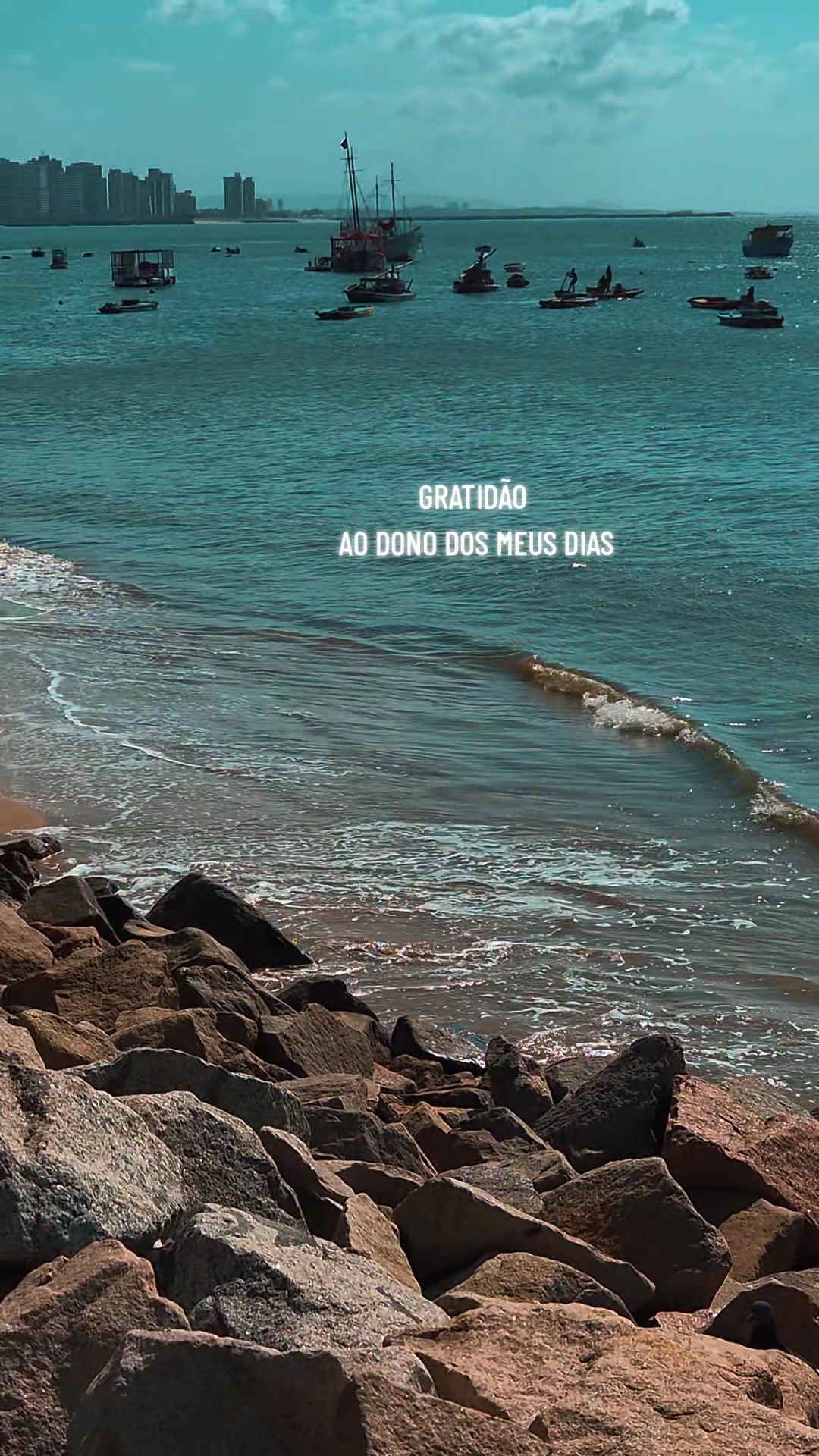 @Al&ecirc; M. P.