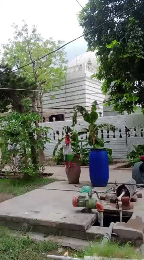@Mehar Ali Laghari