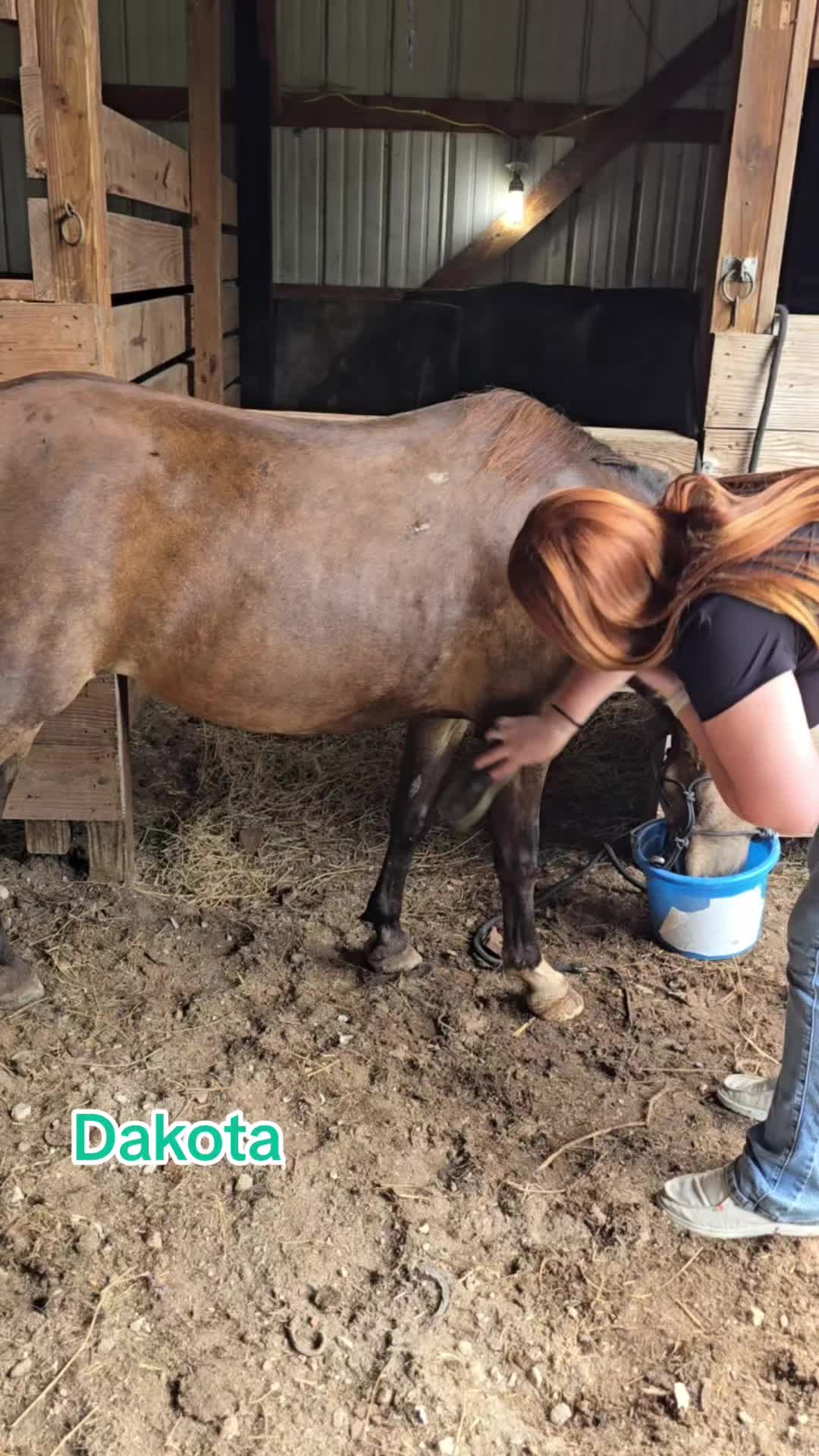 @Small Town Farm LLC