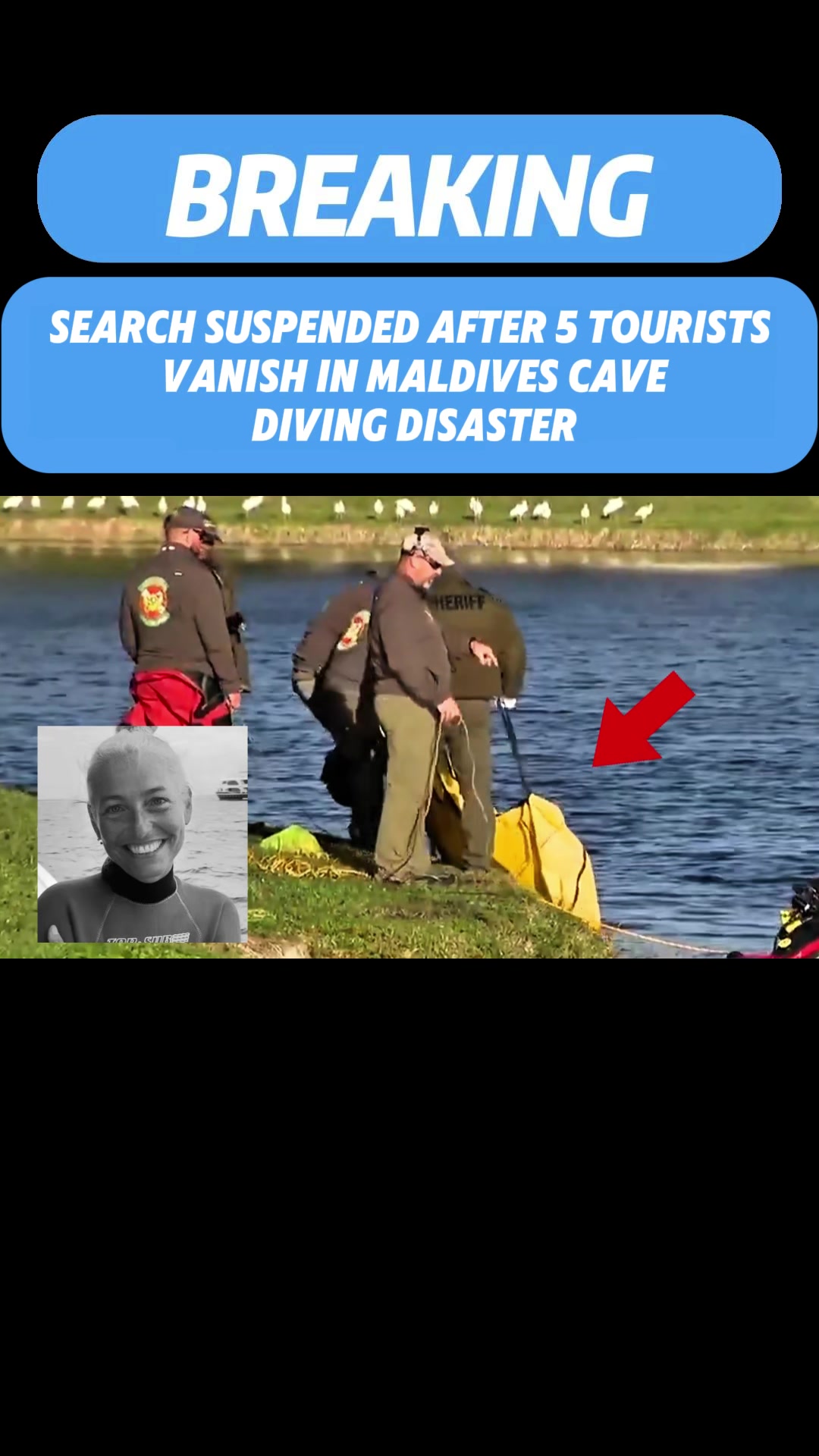 @user8178336052771