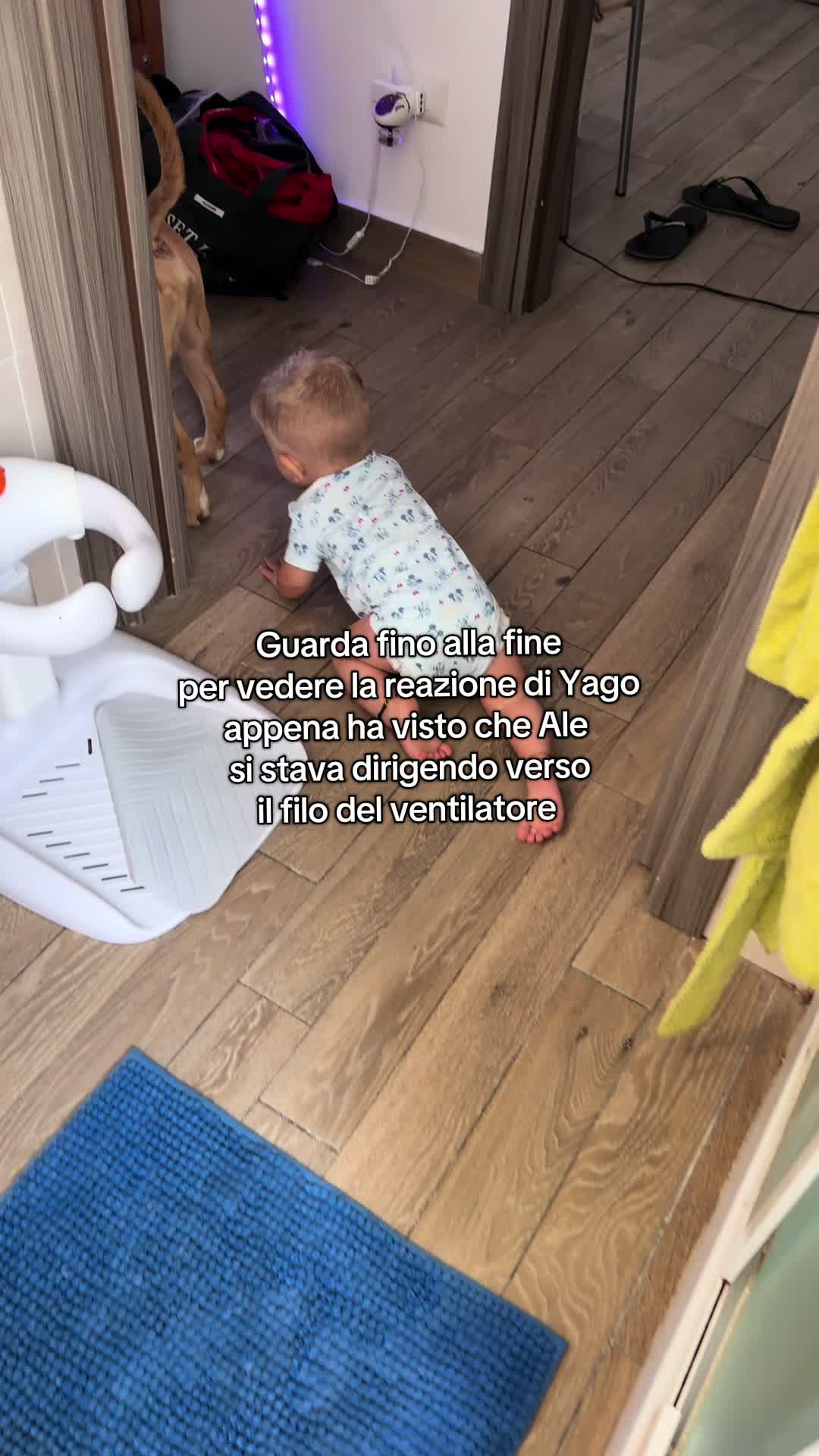 @Martinatrequattrini