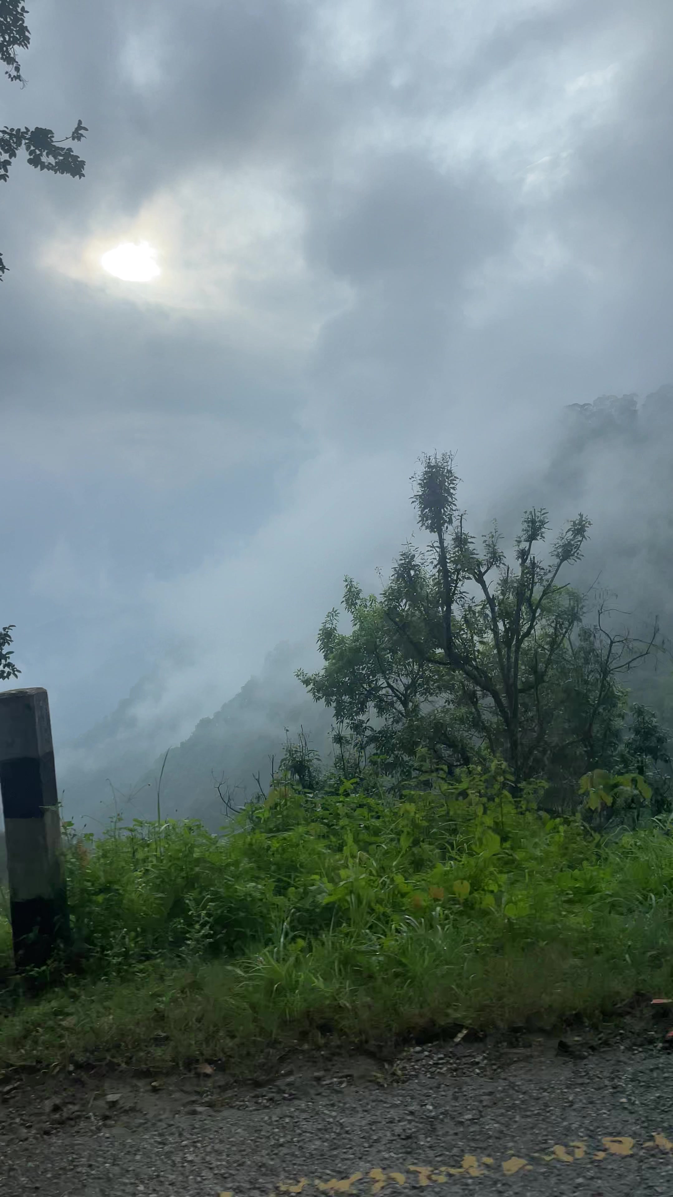 @Pushkar Malla thakuri
