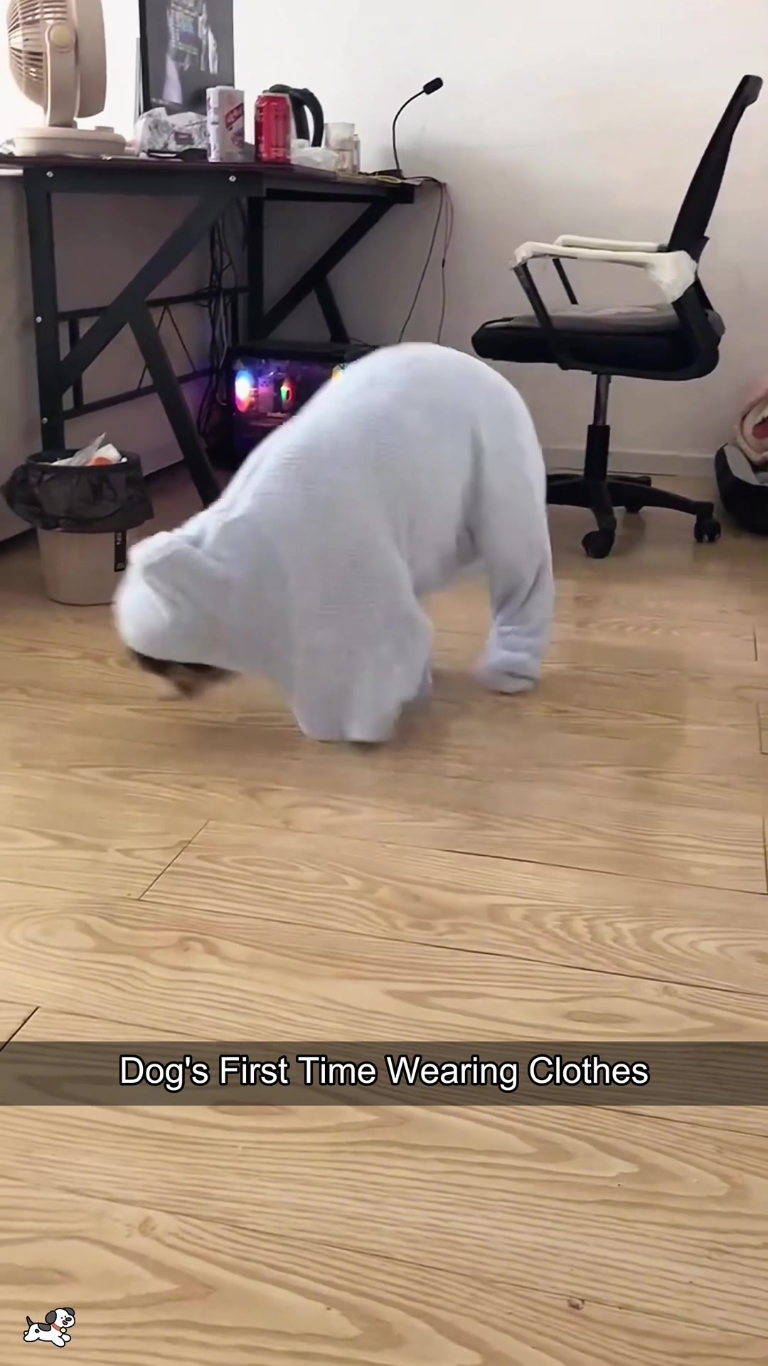 @SneakyFails
