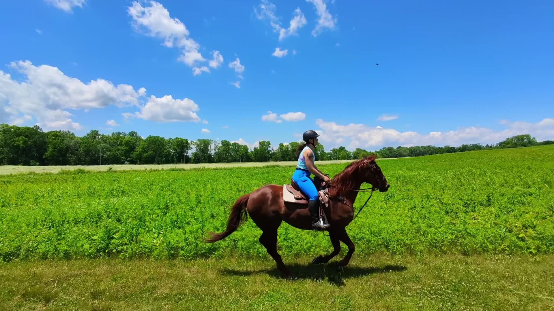 @TinySuburbanFarm