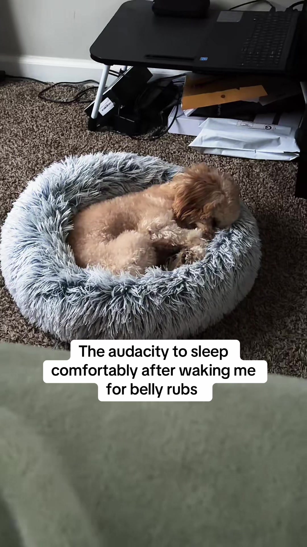 @MyReality_UrPerception