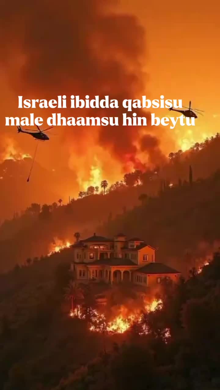 @CAAYAA IBRAHIM