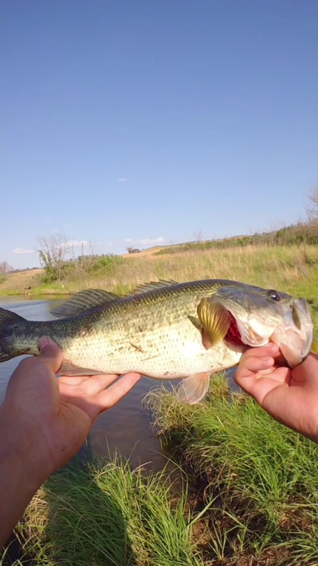 @chance2fish