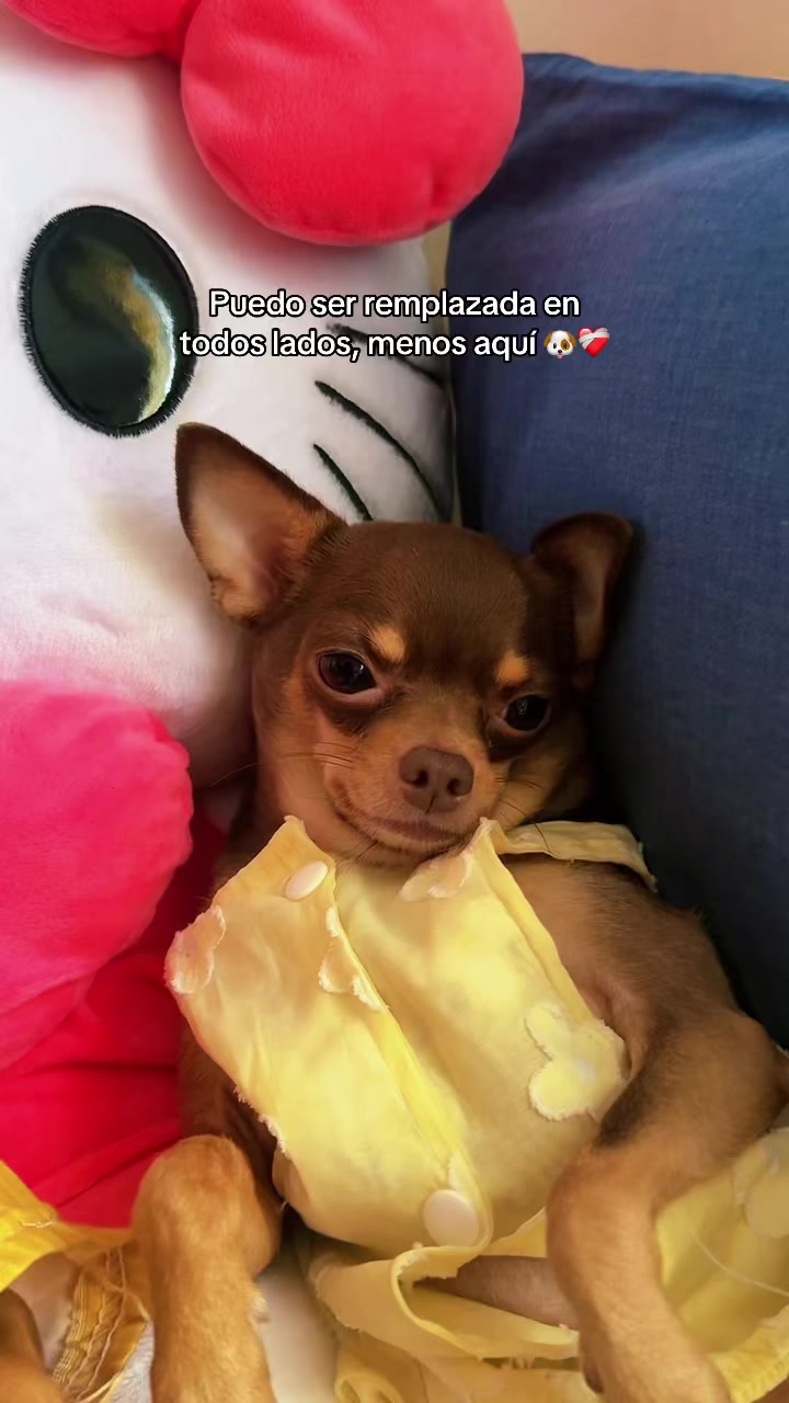 @๐๐๐ซ๐๐ก๐ข๐๐๐