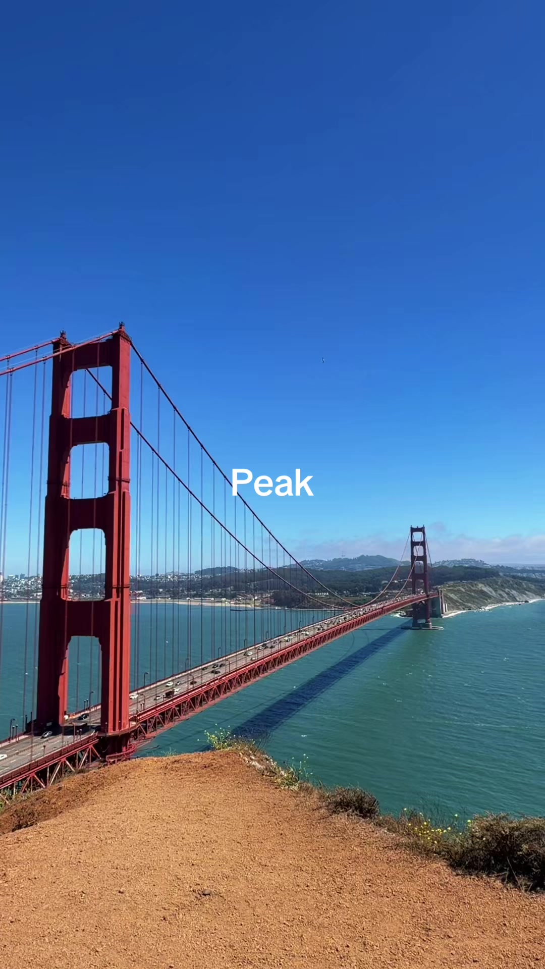 @Sam Pham