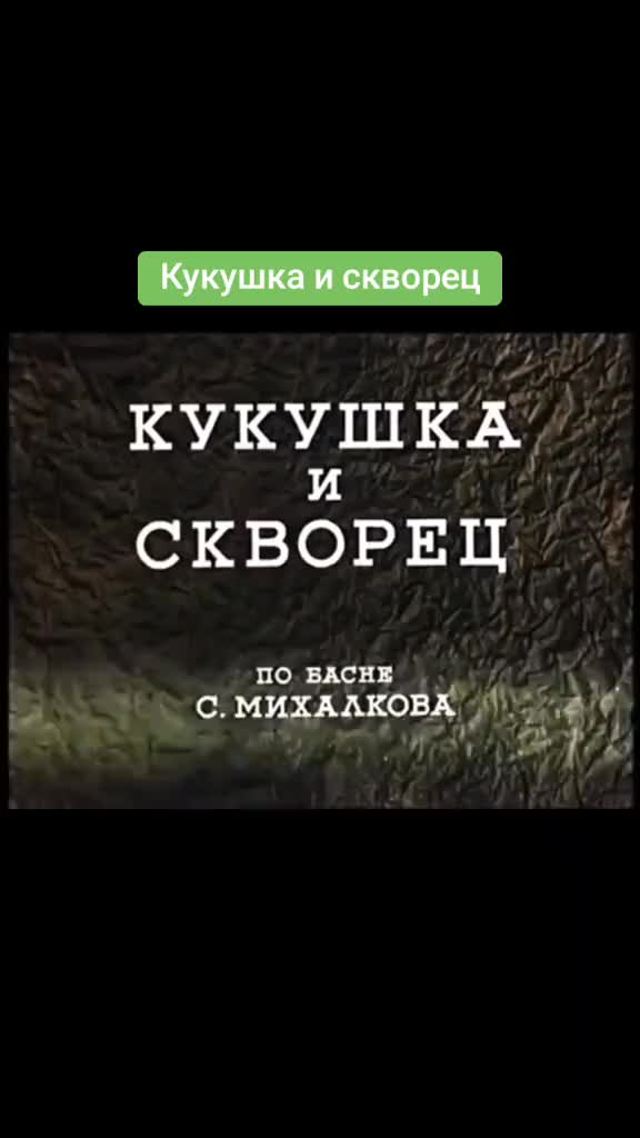 @rainkino