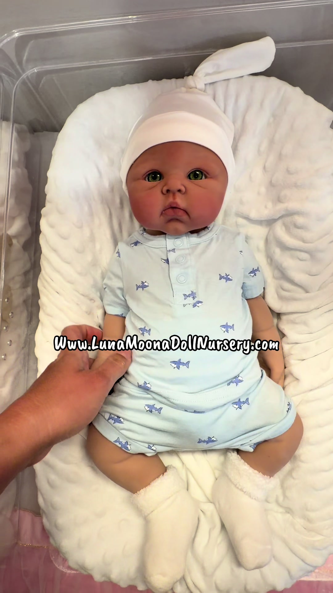 @Luna Moona Doll Nursery