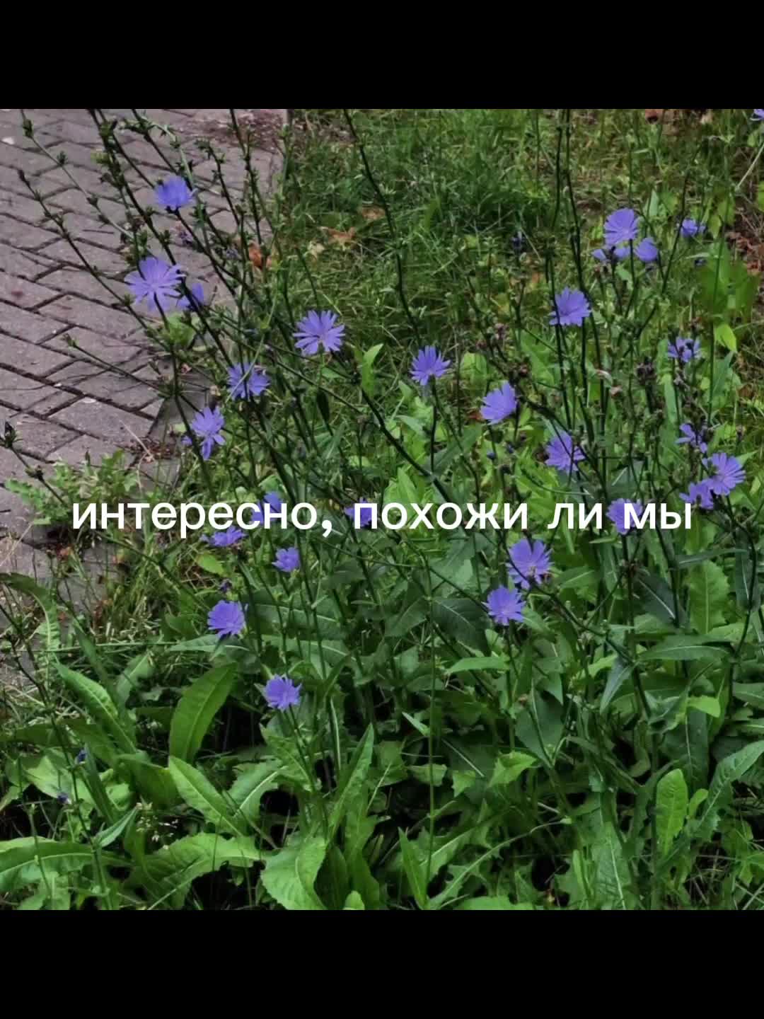 @уляна