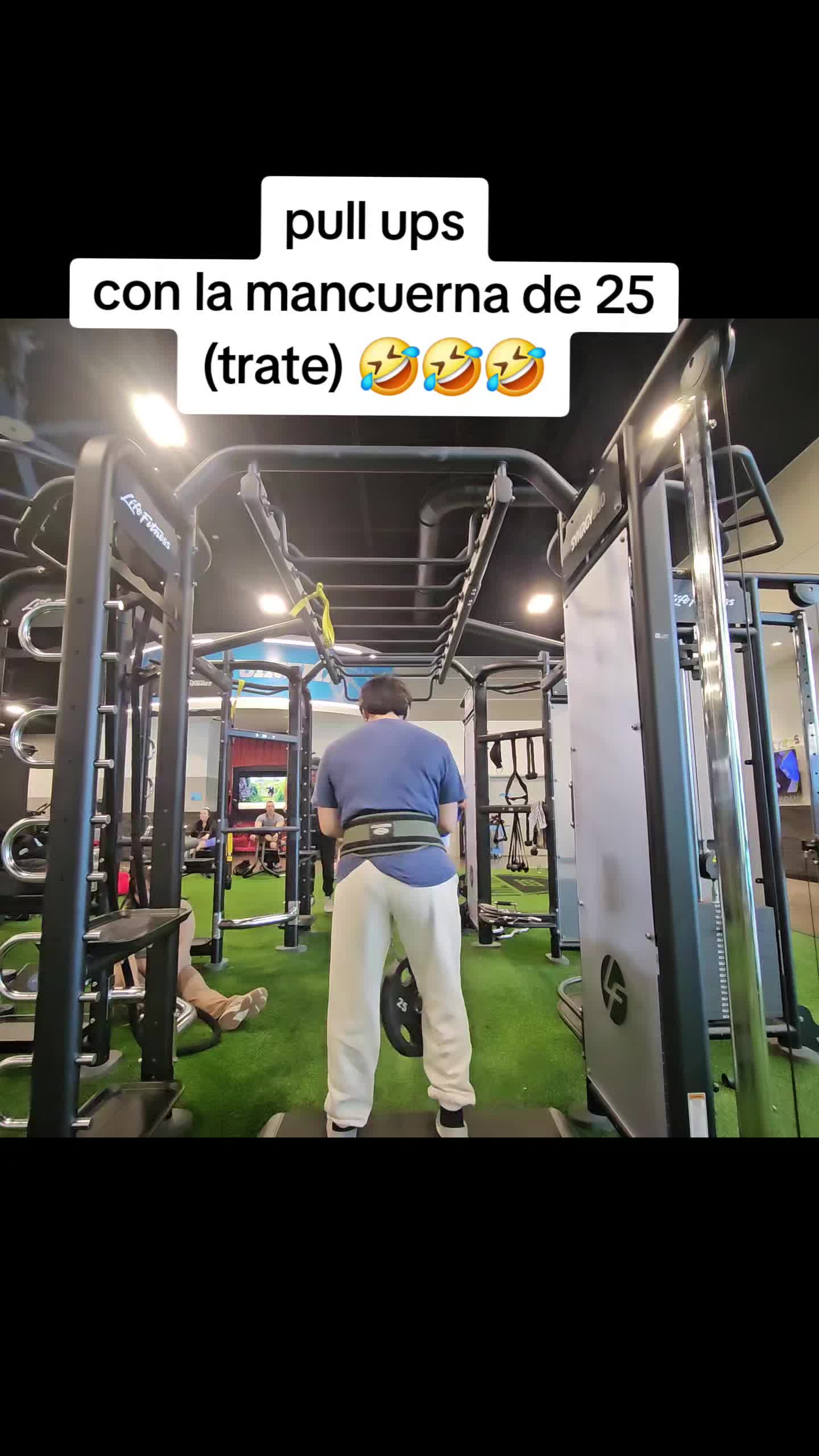 @angelica