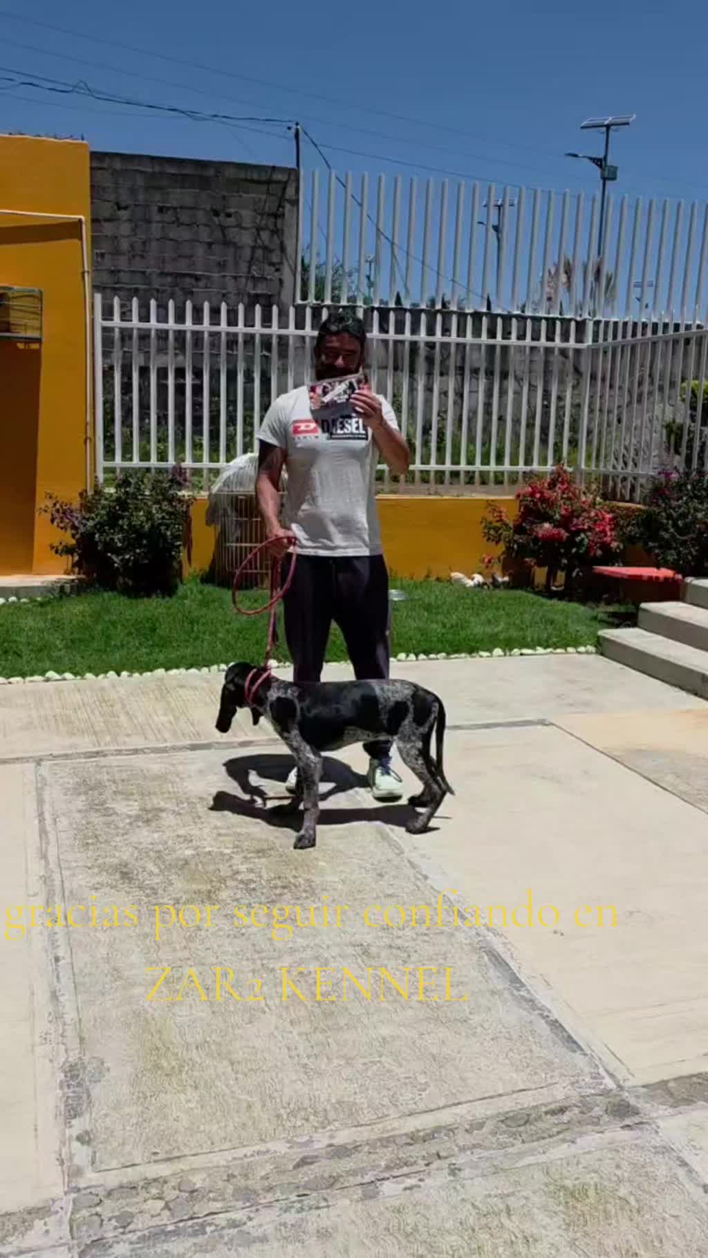 @zardos kennel veracruz