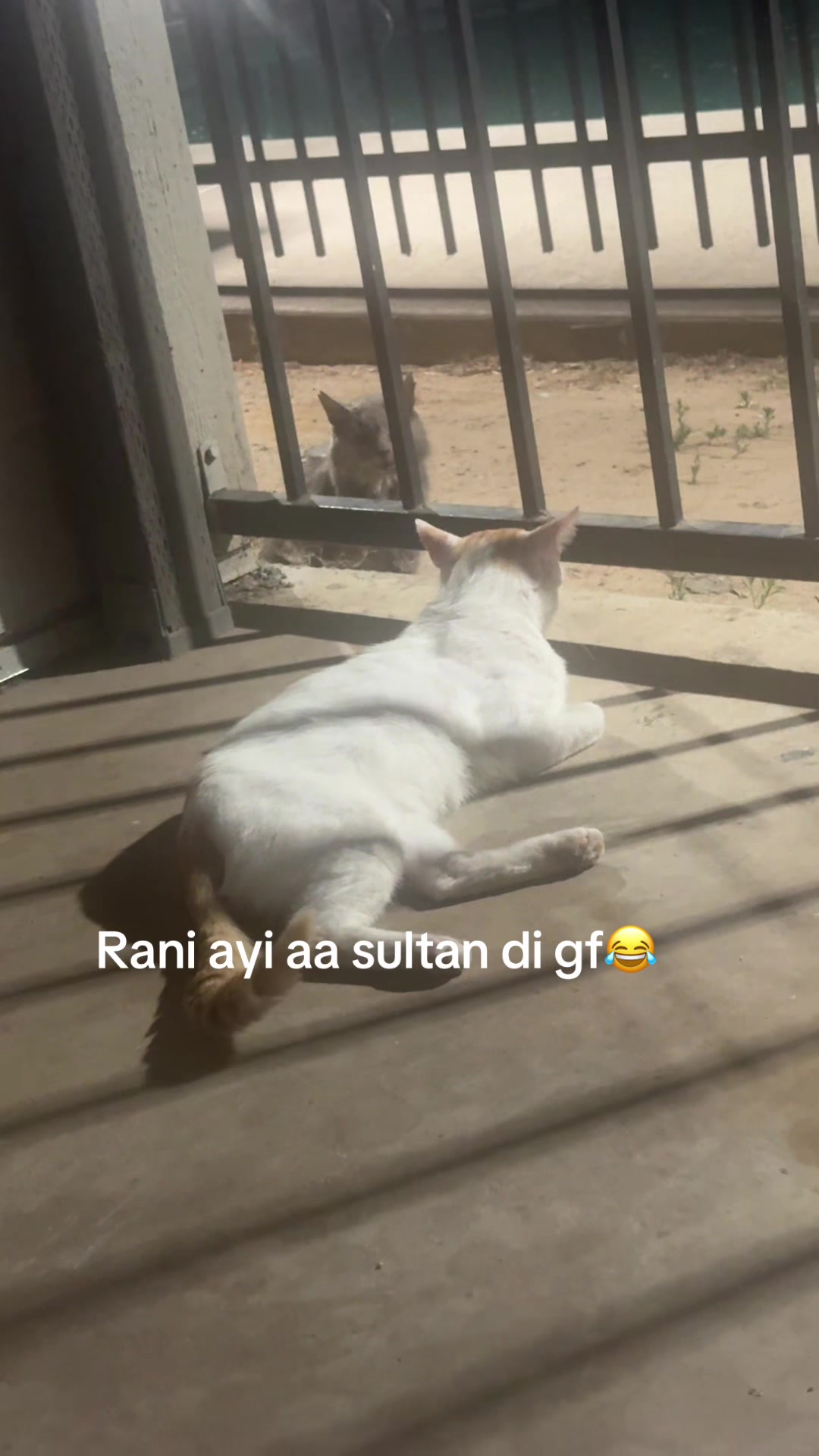@Hry_DOSANJH_brown_jatt🌴