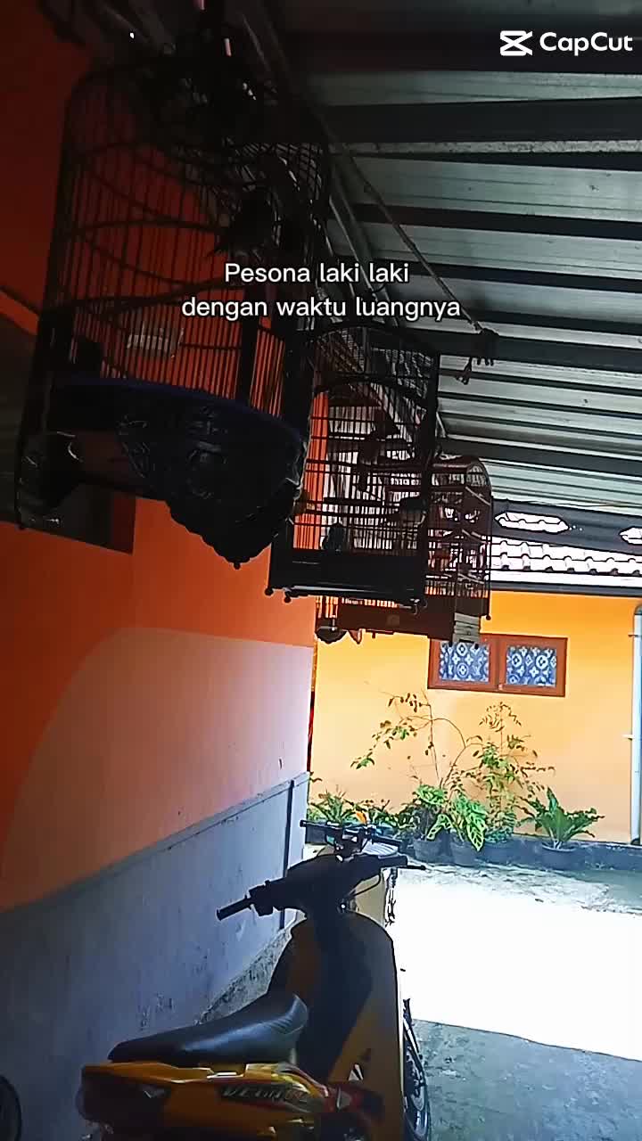 @Yuda Nugraha
