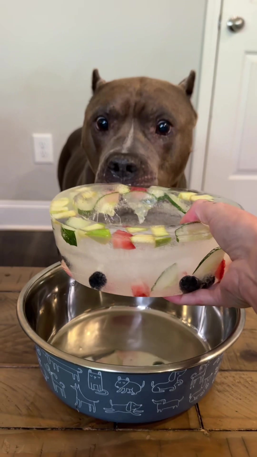 @My Dog’s Dope