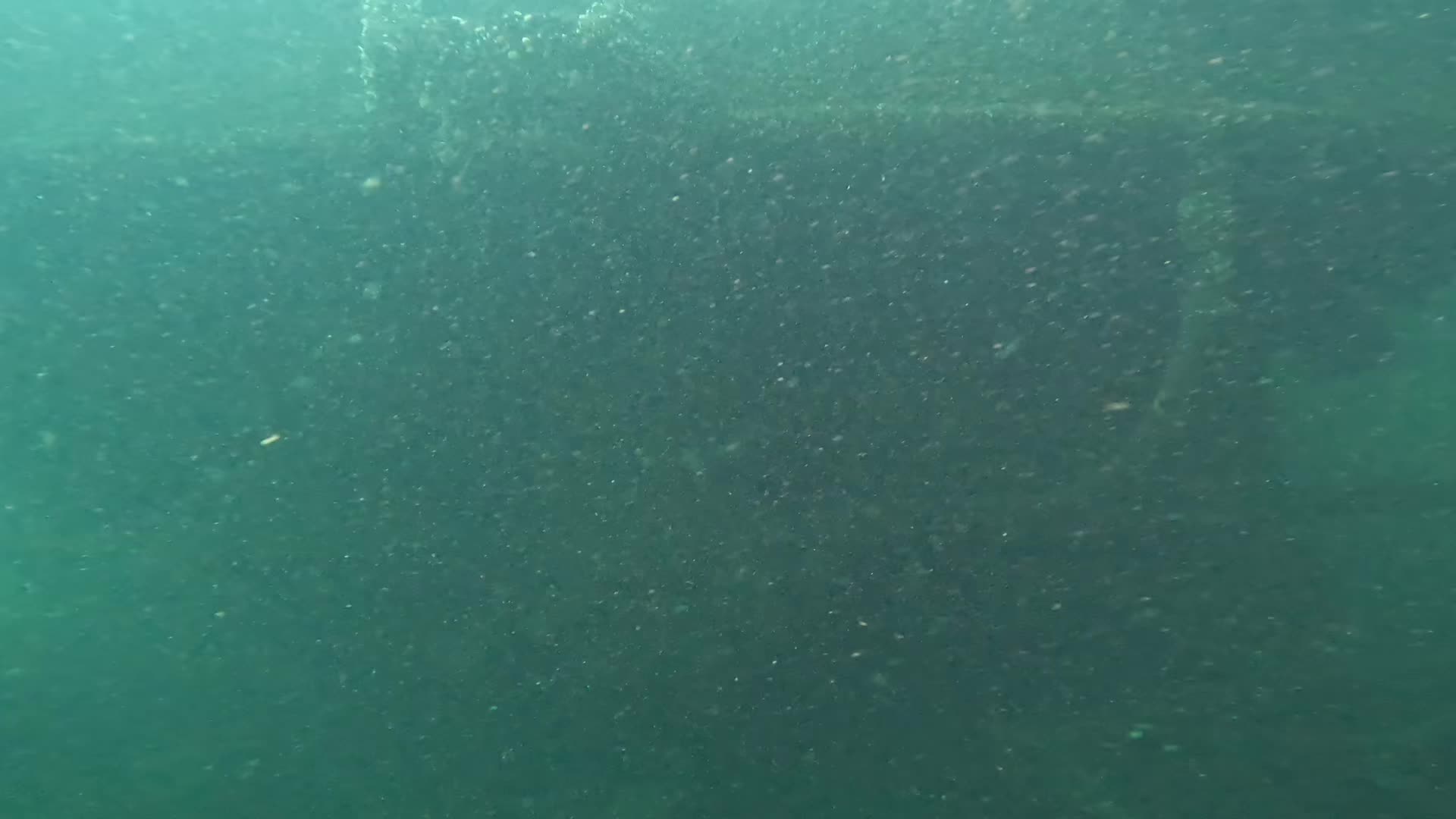 @Scuba mist