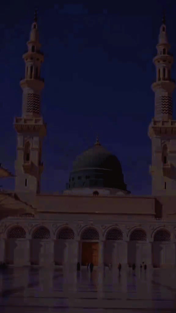 @maliksajjad1860