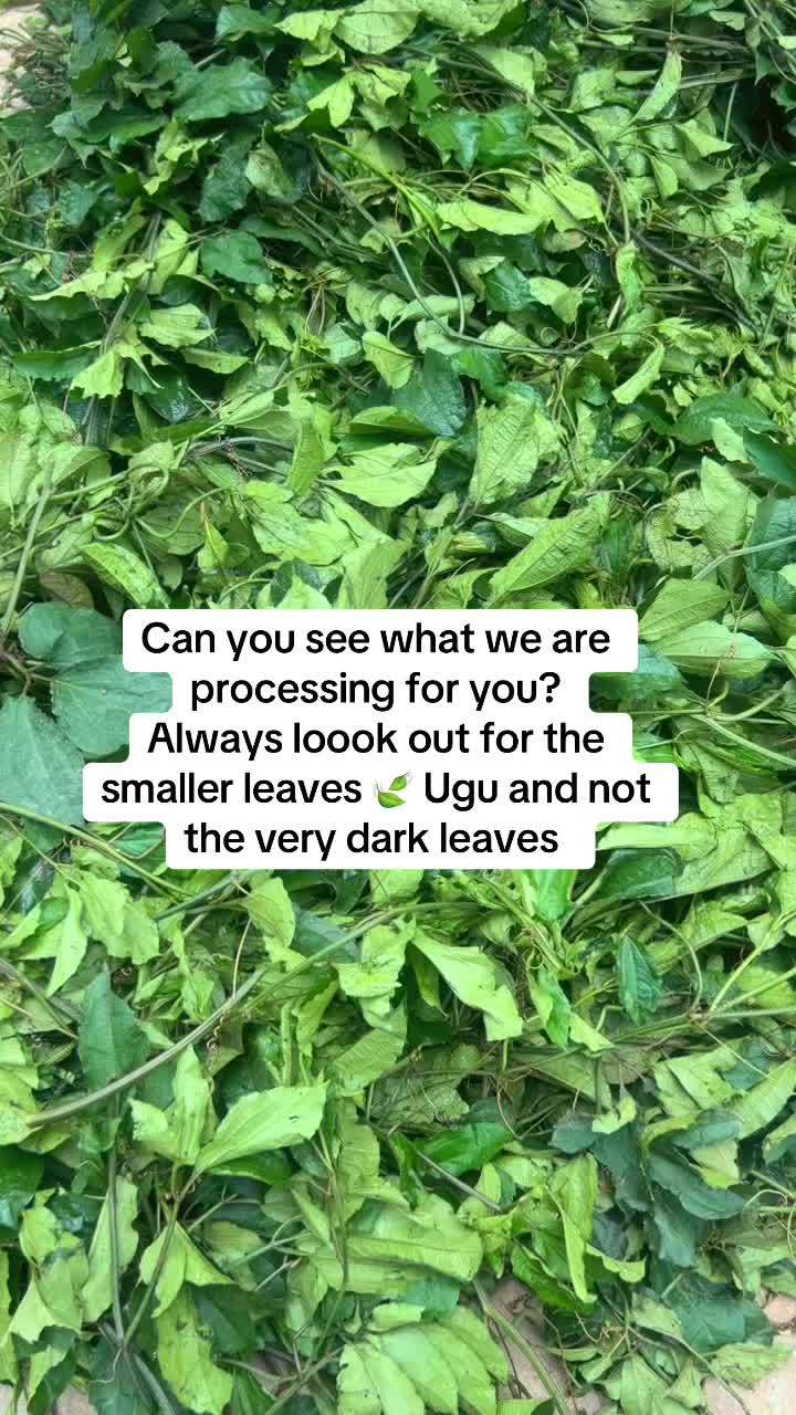 @Lelafood