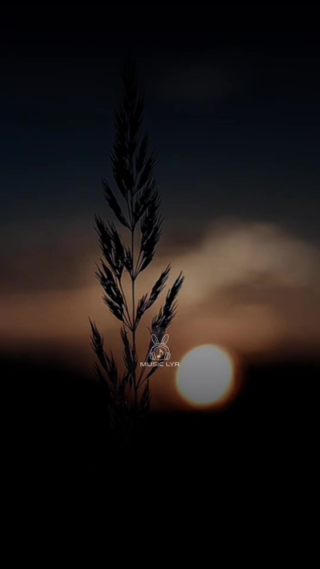 @Music_lyr