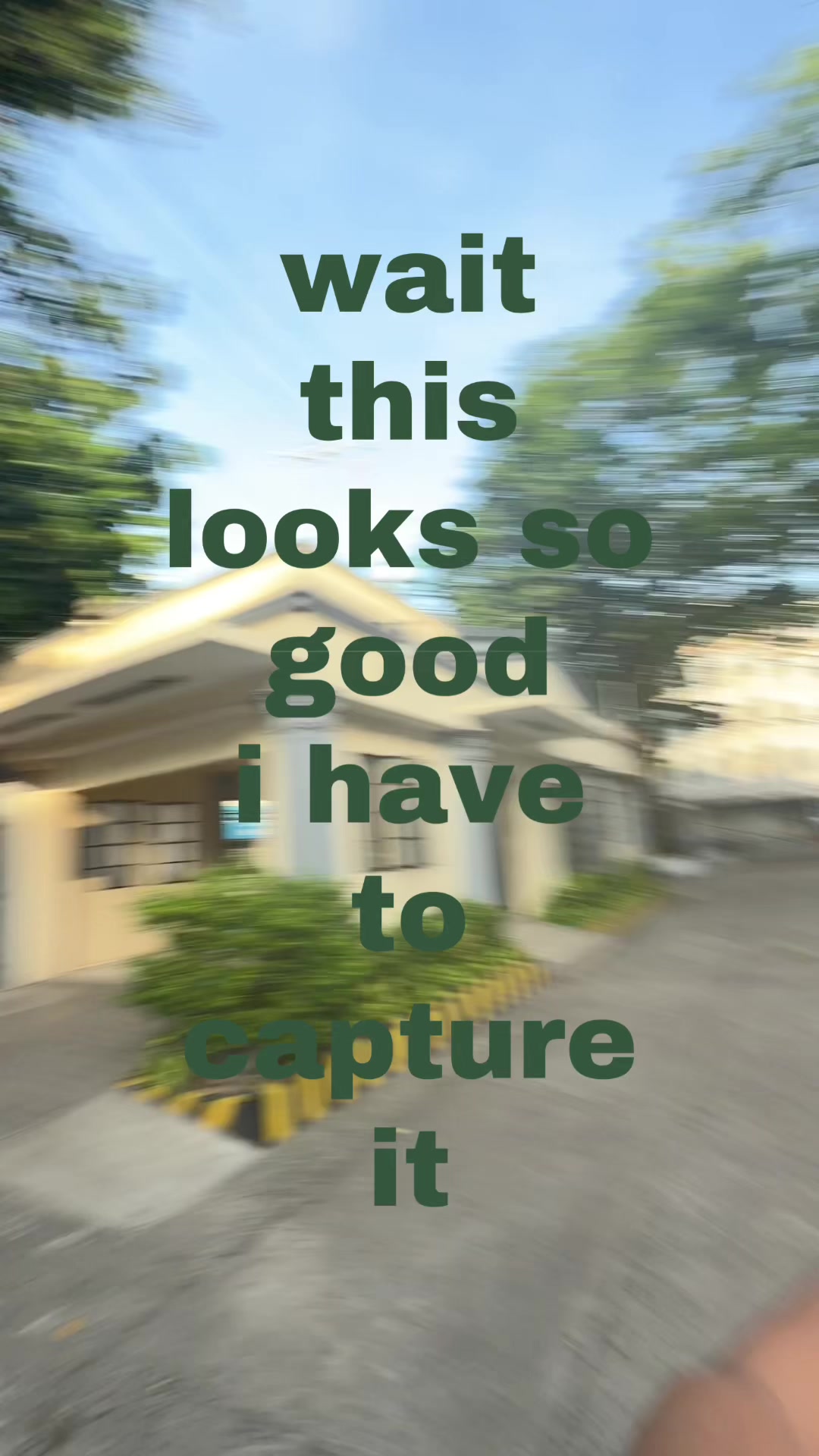 @Shaina Nitura