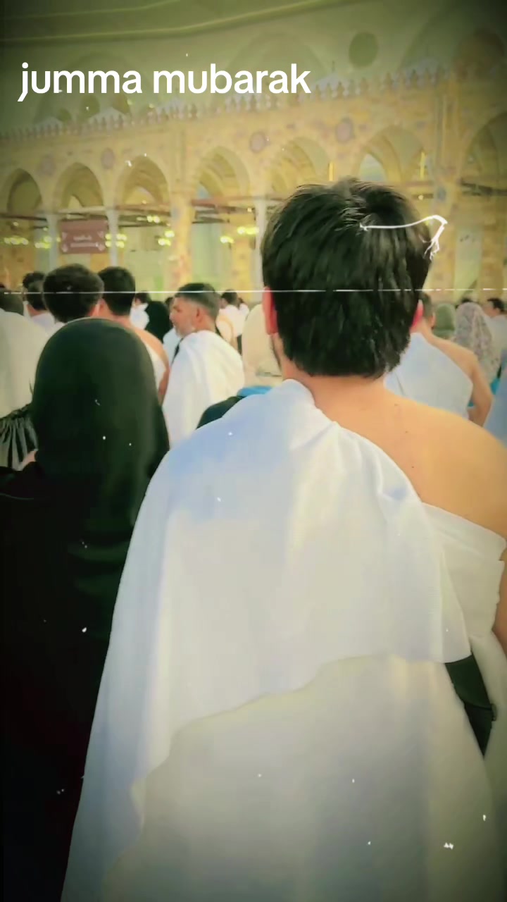 @alirazaarain8686