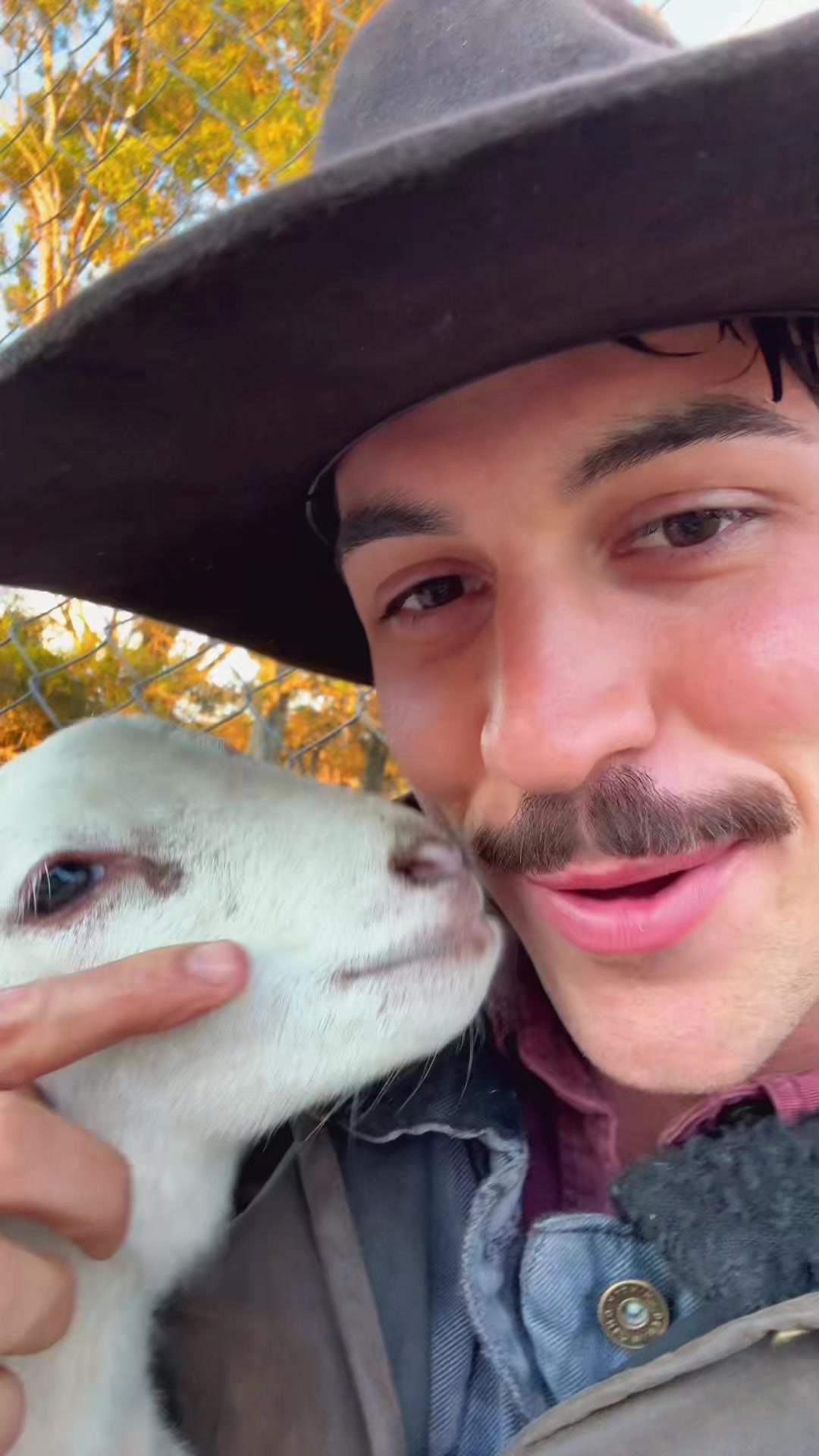 @Liam 🤠