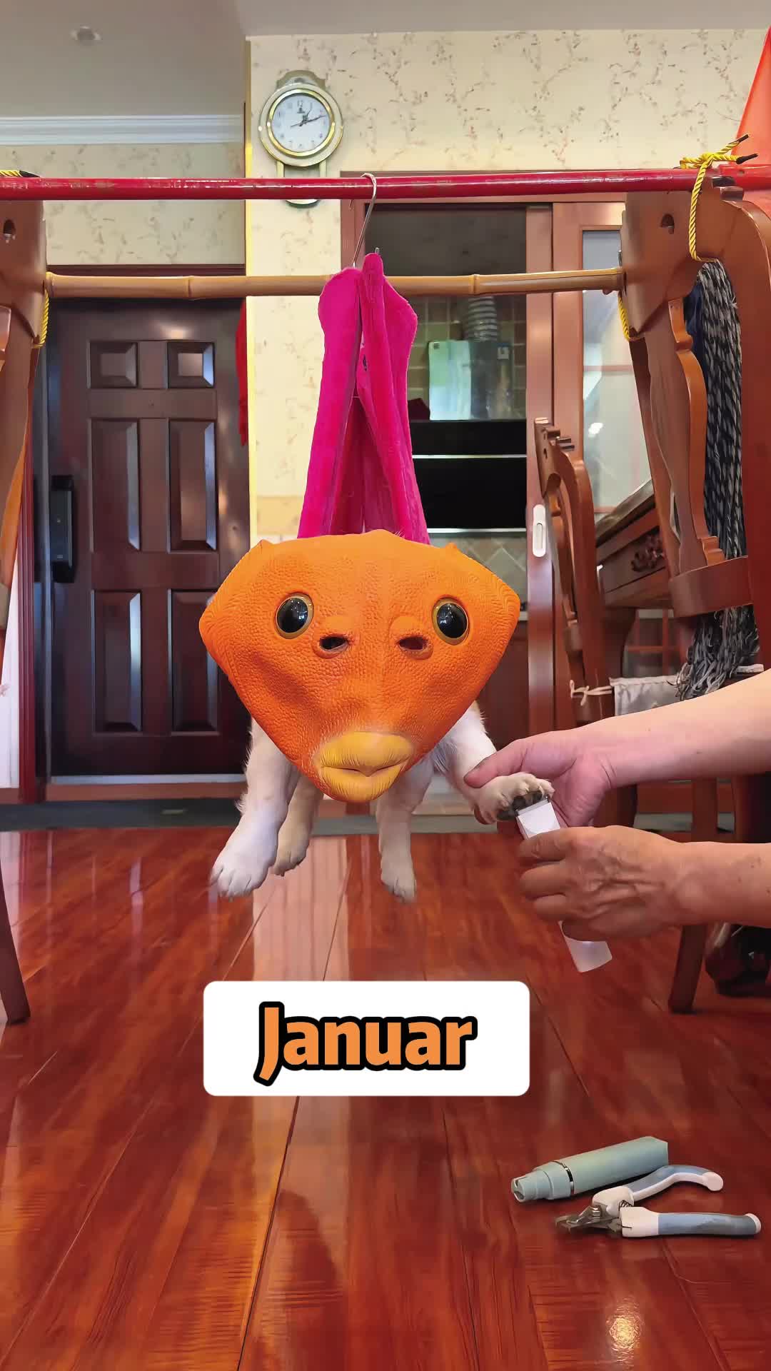 @MoewaiiCat