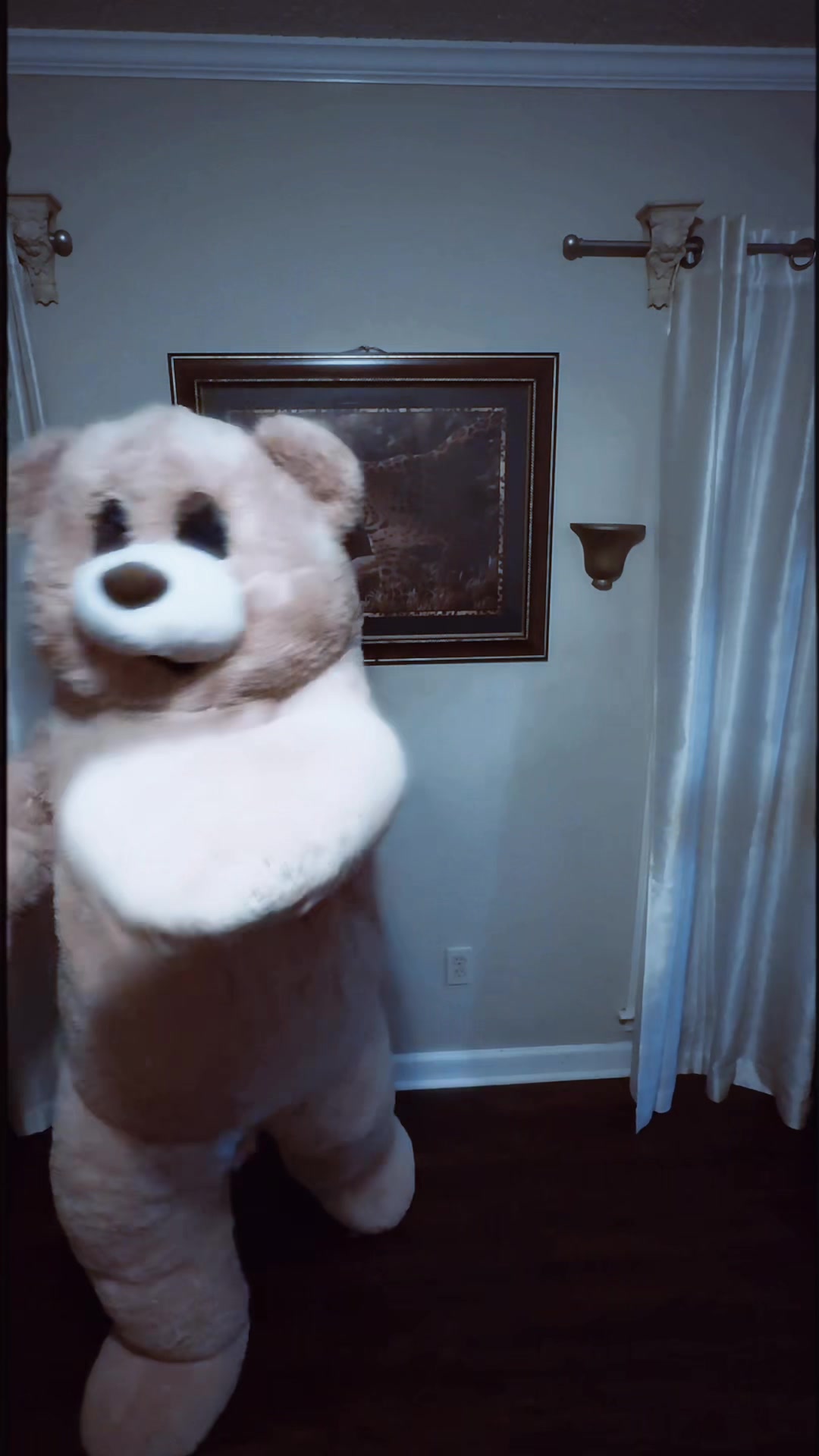 @jaythedancingbear