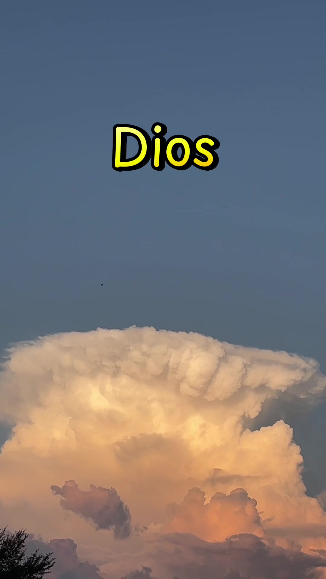 @masterzapata7dan