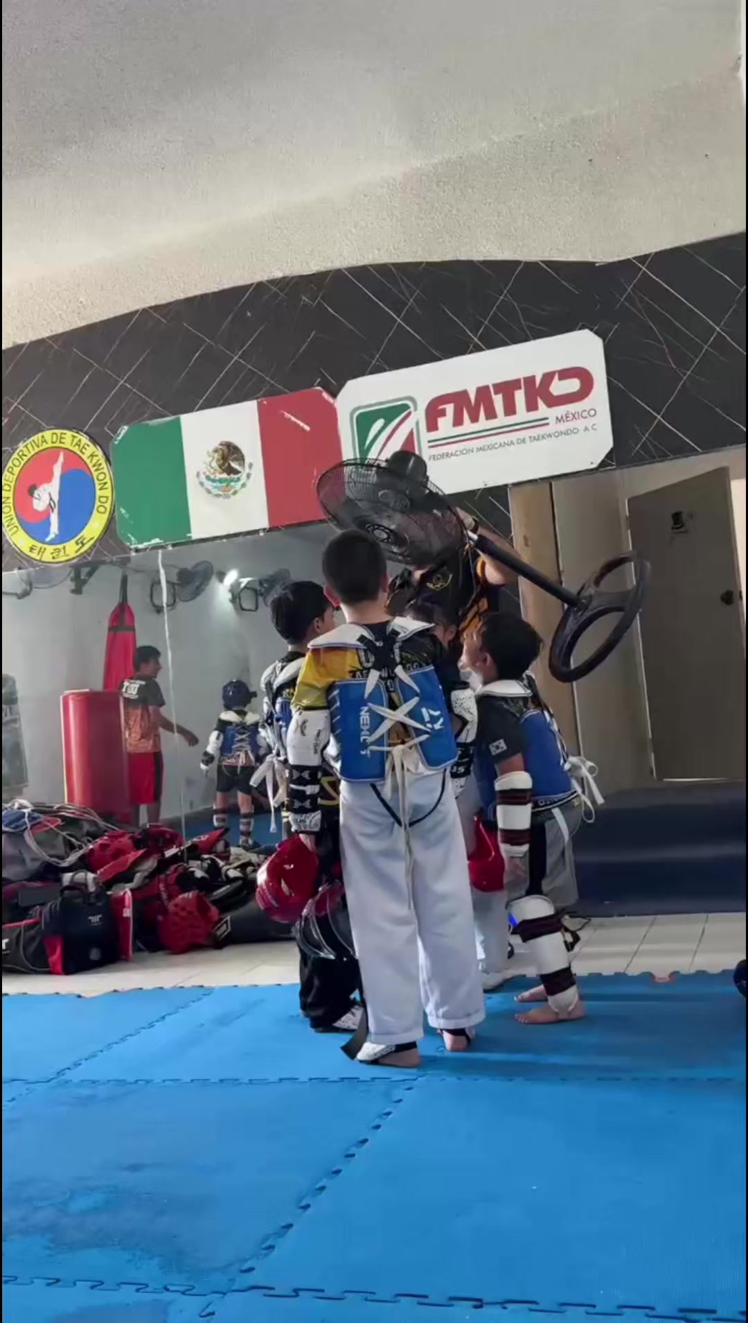 @taekwondolionsteam
