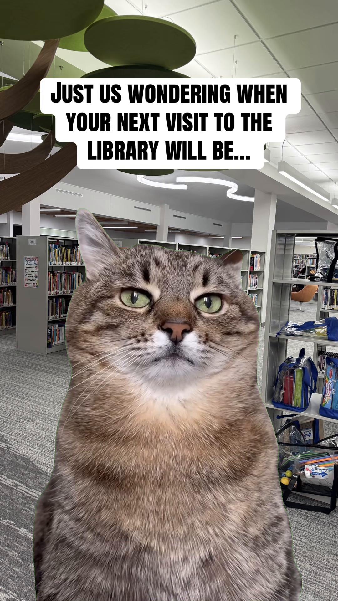 @polkcolibrary