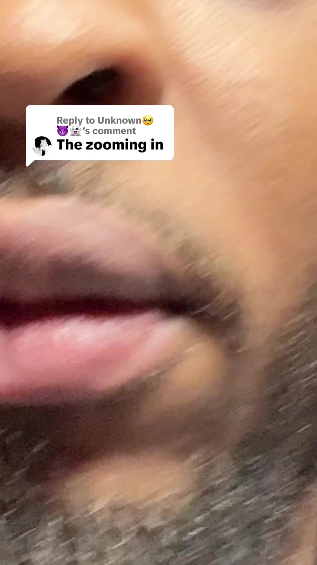 @VIBEZBYHAZE