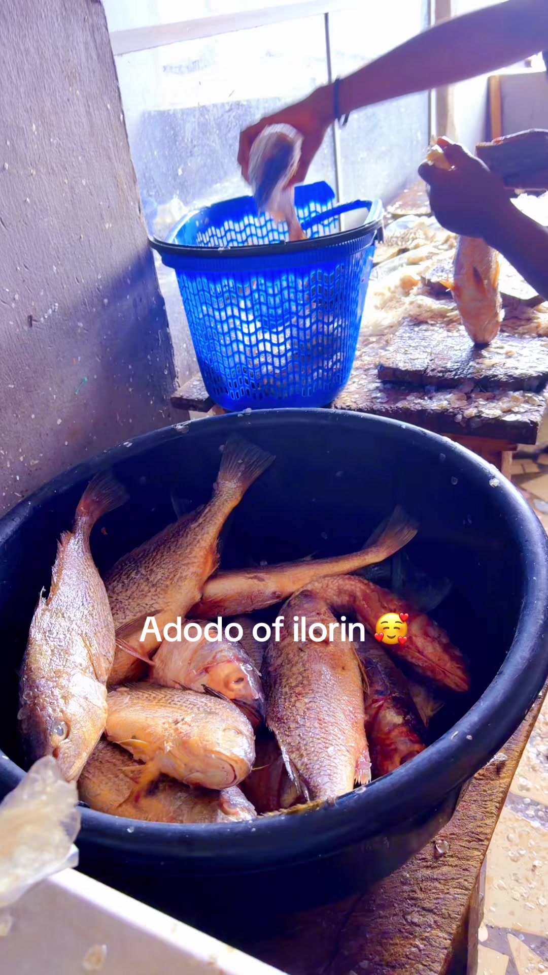 @Adodo_frozen_foods